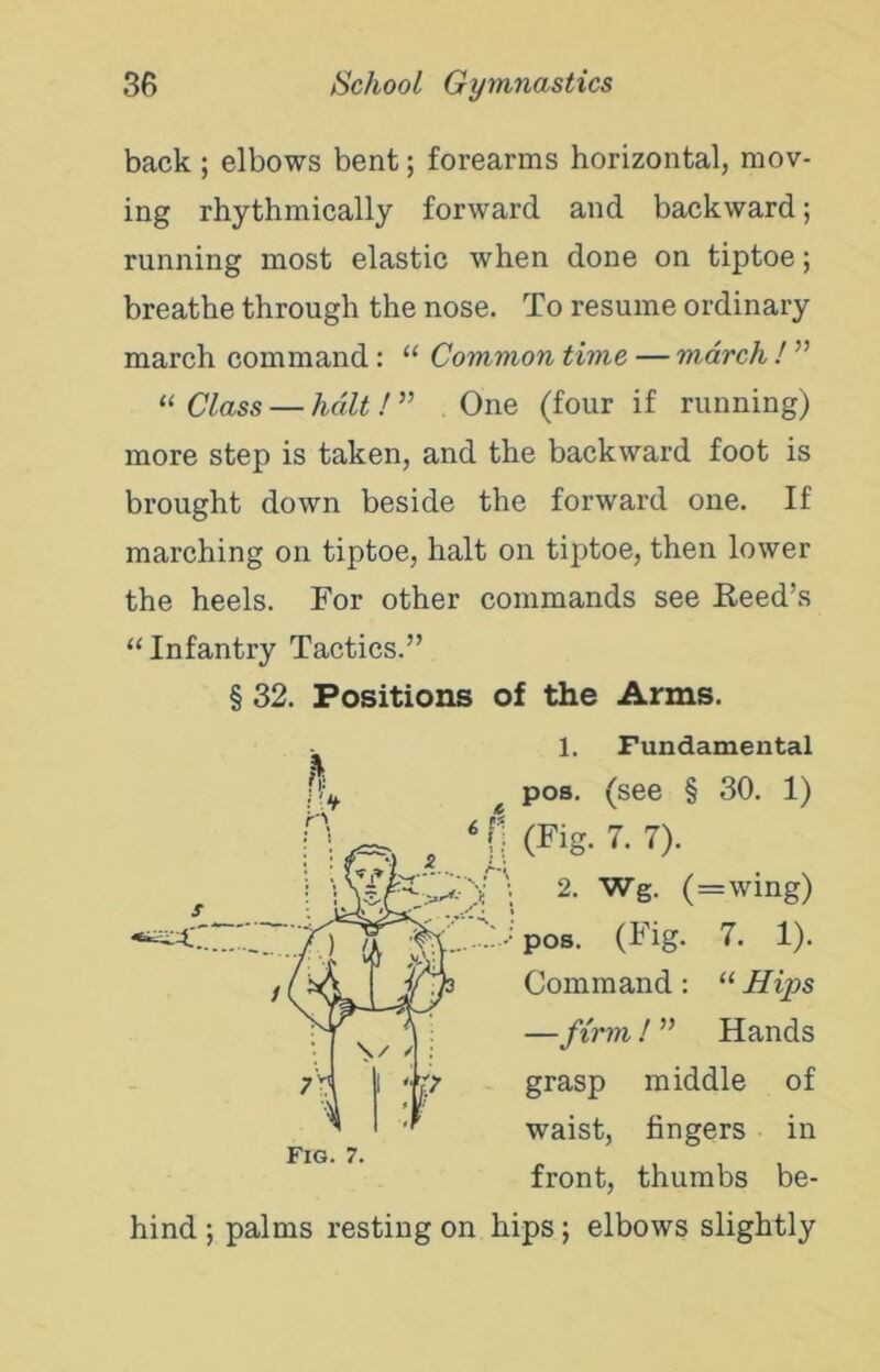 back ; elbows bent; forearms horizontal, mov- ing rhythmically forward and backward; running most elastic when done on tiptoe; breathe through the nose. To resume ordinary march command: “ Common time — march ! ” ‘‘Class — halt!” One (four if running) more step is taken, and the backward foot is brought down beside the forward one. If marching on tiptoe, halt on tiptoe, then lower the heels. For other commands see Feed’s “Infantry Tactics.” § 32. Positions of the Arms. 1. Fundamental ^ pos. (see § 30. 1) ^ (Fig. 7. 7). 2. Wg. (=wing) pos. (Fig. 7. 1). Command: “ Hips —firm ! ” Hands grasp middle of waist, fingers in front, thumbs be- hind ; palms resting on hips; elbows slightly Fig. 7.