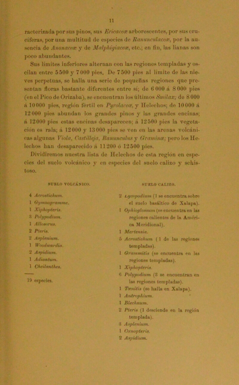 motorizada por sus pinos, sus Ericacece arborescentes, por sus cru- ciferas, poruña multitud do especies do Ranunculáceas, por la au- sencia de Anonacrre y de Malphigiacear, etc.; en fin, las lianas son poco abundantes. Sus límites inferiores alternan con las regiones templadas y os- cilan entre 5500 y 7000 pies. De 7500 pies al límite de las nie- ves perpetuas, se halla una serie de pequeñas regiones que pre- sentan floras bastante diferentes entre sí; de fi 000 á 8 000 pies (en el Pico de Orizaba), se encuentran los últimos Smilax; de 8 000 á 10000 pies, región fértil en Pyrolaceae, y Heléchos; de 10000 ¡í 12 000 pies abundan los grandes pinos y las grandes encinas; á 12000 pies estas encinas desaparecen; a 12500 pies la vegeta- ción es rala; á 12000 y 13 000 pies se ven en las arenas volcáni- cas algunas Violo, Castillejo, Ranúnculos y Gramince.; pero los He- lechos han desaparecido á 11 200 ó 12500 pies. Dividiremos nuestra lista de Heléchos de esta región en espe- cies del suelo volcánico y en especies del suelo calizo y schis- toso. SUELO VOLCANICO. SUELO CALIZO. 4 Acroaticfium, 1 Gymnogramme. 1 Xiphopteri». <1 PolypoAium. 1 Alio» ¡rus. 2 Pieria. 2 Aaplenium. 1 Woodwardia. 2 Aspiditun 1 Adianium. 1 Cheilanihea. regiones templadas). 1 Xiphopte.ria. 0 Polypodium (8 se encuentran en 2 uyenpodium (1 se encuentra sobre ca Meridional). 1 Mertenaia. 5 Acroaiichum (1 de las regiones templadas). 1 Grammitis (se encuentra en las el suelo basáltico de Xalapa). I OjiAioffloaaum (se encuentra en las regiones calientes de la Améri- 19 especies. las regiones templadas). 1 Tmnitia (se halla en Xalapa). 1 Antrophium. 1 Blechnum. 2 Pieria (1 desciende en la región templada). 8 Aaplenium. 1 Co-nopteris. 2 Aapidium.