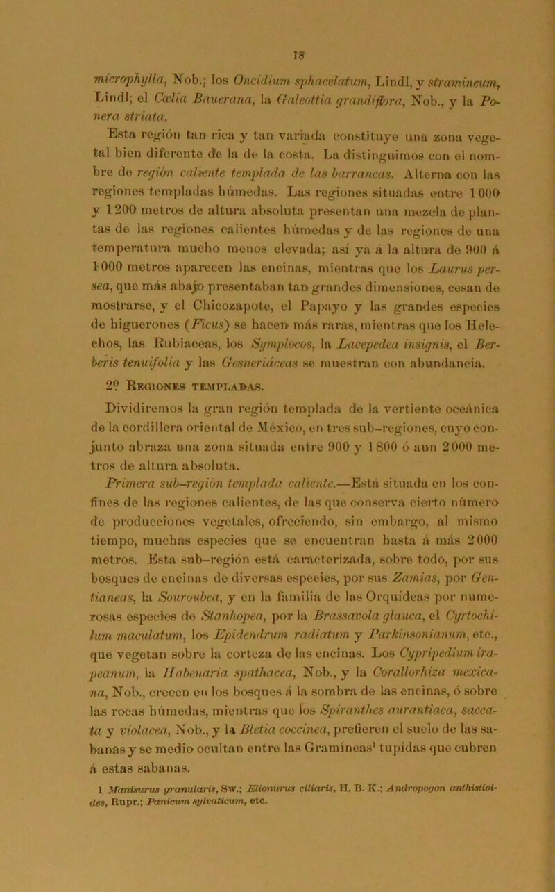 microphulla, Nob.; los Oncidium sphncélatum, LindI, y strmnineum, LindI; el Casi i a Bauerana, la Galeottia grandiflora, Nob., y la Po- nera striata. Esta región tan rica y tan variada constituye una zona vege- tal bion diferente de la de la costa. La distinguimos con el nom- bre do región caliente templada de las barrancas. Alterna con las regiones templadas húmedas. Las regiones situadas entre 1000 y 1200 metros de altura absoluta presentan una mezcla de plan- tas de las regiones calientes húmedas y do las regiones de una temperatura mucho menos elevada; así ya a la altura de 900 á 1000 metros aparecen las encinas, mientras que los Laurus per- sea, que más abajo presentaban tan grandes dimensiones, cesan de mostrarse, y el Chieozapote, el Papayo y las grandes especies de higuerones (Ficus) se hacen mas raras, mientras que los Helé- chos, las Rubiáceas, los Symplocos, la Lacepedea insignia, el Ber- berís tenuifolia y las Gesneriáceas se muestran con abundancia. 2? Regiones templadas. Dividiremos la gran región templada de la vertiente oceánica de la cordillera oriental de México, en tres sub-regiones, cuyo con- junto abraza una zona situada entre 900 y 1 800 ó aun 2000 me- tros de altura absoluta. Primera suh-región templada caliente.—Está situada en los con- fines de las regiones calientes, de las que conserva cierto número de producciones vegetales, ofreciendo, sin embargo, al mismo tiempo, muchas especies que so encuentran hasta á más 2000 metros. Esta snb-región está caracterizada, sobre todo, por sus bosques de encinas de diversas especies, por sus Zamias, por Gen- tianeas, la Souroubea, y en la familia de las Orquídeas por nume- rosas especies do Stanhopea, por la Brassavola glauca, el Cyrtochi- lum macxdatum, los Epidendrum radiatum y Parkinsonianum, etc., que vegetan sobre la corteza de las encinas. Los Cypripedium ira- peanum, la Habenaria spathacea, Nob., y la Corallorhiza mexica- na, Nob., crecen en los bosques á la sombra de las encinas, ó sobre las rocas húmedas, mientras que los Spiranthes aurantiaca, sacca- ta y violácea, Nob., y U Bletia coccínea, prefieren el suelo de las sa- banas y se medio ocultan entre las Gramíneas1 tupidas que cubren á estas sabanas. X Manisurus (jranularte, Sw.; Elionurus ciliaris, H. B. K.; Andropogon anthistioi- des, Rupr.; Panicum xylvaticum, etc.