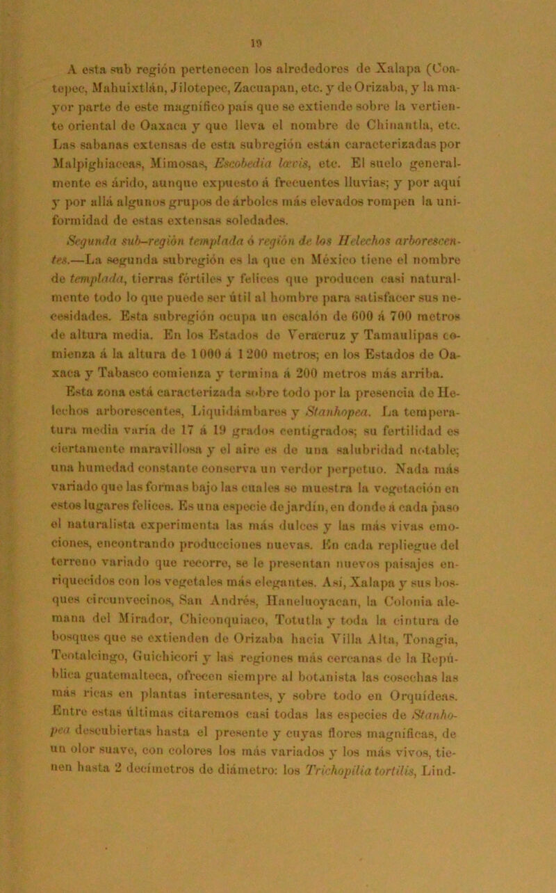 A esta sub región pertenecen los alrededores de Xalapa (Coa- topee, Mahuixtlán, Jilotepee, Zacuapau, etc. y de Orizaba, y la ma- yor parte de este magnífico país que so extiende sobre la vertien- te oriental de Oaxaca y que lleva el nombre do Chinantla, etc. Las sabanas extensas de esta subregión están caracterizadas por Malpigh¡aceas, Mimosas, Escobadla brets, etc. El suelo general- mente es árido, aunque expuesto á frecuentes lluvias; y por aquí y por allá algunos grupos de árboles más elevados rompen la uni- formidad de estas extensas soledades. Segunda sub-región templada ó región de los Heléchos arborescen- tes.—La segunda subregión es la que en México tiene el nombre de templada, tierras fértiles y felices que producen casi natural- monte todo lo que puede ser útil al hombre para satisfacer bus ne- cesidades. Esta subregión ocupa un escalón de 600 á 700 metros de altura media. En los Estados de Veracruz y Tamaulipas co- mienza á la altura de 1 000 á 1 200 metros; en los Estados de Oa- xaca y Tabasco comienza y termina á 200 metros más arriba. Esta zona está caracterizada sobre todo por la presencia de He- lechos arborescentes, Liquidámbares y Stauhopea. La tempera- tura media varía de 17 á 19 grados centígrados; su fertilidad es ciertamente maravillosa y el aire es de una salubridad notable; una humedad constante conserva un verdor perpetuo. Nada más variado que las formas bajo las cuales so muestra la vegetación en estos lugares felices. Es una especie de jardín, en donde á cada paso ®1 naturalista experimenta las más dulces y las más vivas emo- ciones, encontrando producciones nuevas. En cada repliegue del terreno variado que recorre, se le presentan nuevos paisajes en- riquecidos con los vegetales más elegantes. Así, Xalapa y sus bos- ques circunvecinos, San Andrés, Haneluoyacan, la Colonia ale- mana del Mirador, Chiconquiaco, Totutla y toda la cintura de bosques que se extienden de Orizaba hacia Villa Alta, Tonagia, Teotalcingo, Guichieori y las regiones más cercanas de la Repú- blica guatemalteca, ofrecen siempre al botanista las cosechas las más ricas en plantas interesantes, y sobre todo en Orquídeas. Entre estas últimas citaremos casi todas las especies de Stanho- pea descubiertas hasta el presente y cuyas flores magnificas, de un olor suave, con colores los más variados y los más vivos, tie- nen hasta 2 decímetros de diámetro; los Trichopiliatortilis, Lind-