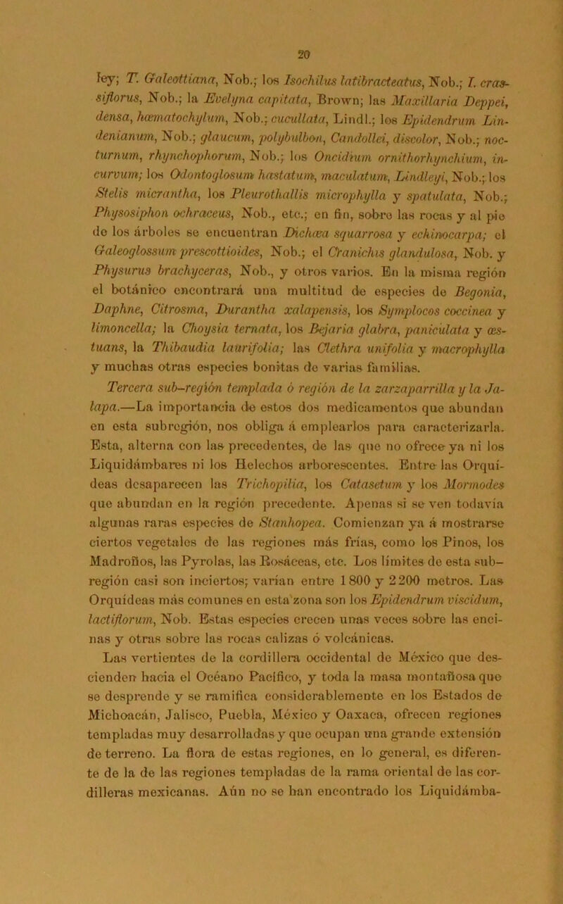 fey; T Galeottiana, Nob.; los Isochilus latibracteatus, Nob.; T. cras- siflorus, Nob.; la Evelyna capitata, Brown; las Maxillaria Deppei, densa, hcematochylum, Nob.; cucullata, Lindl.; los Epidendrum Lin- deniamm, Nob.; glaucum, polybulbon, Candollei, discolor, Nob.; noc- turnum, rhynchophorum, Nob.; los Oncidium ornithorhynchium, in- eurvum; los Odontoglosum hastatum, maculatum, Lindleyi, Nob.;. los Stelis micrantha, los Pleurothallis microphylla y spatulata, Nob.; Physosiphon ochraceus, Nob., etc.; en fin, sobro las rocas y al pie do los árboles se encuentran Ihchaea squarrosa y echimcarpa; el Galeoglossum prescottioides, Nob.; el Oanichis glandulosa, Nob. y Physurus brachyceras, Nob., y otros varios. En la misma región el botánico encontrará una multitud de especies de Begonia, Daphne, Citrosma, Durantha xalapensis, los Symplocos coccínea y limoncella; la Choysia temata, los Bejaria glabra, paniculata y oes- tuans, la Thibaudia laürifolia; las Clethra unifolia y macrophylla y muchas otras especies bonitas de varias familias. Tercera sub-regíón templada ó región de la zarzaparrilla y la Ja- lapa.—La importancia de estos dos medicamentos que abundan en esta subregión, nos obliga á emplearlos para caracterizarla. Esta, alterna con las precedentes, de las que no ofrece ya ni los Liquidámbai-es ni los Heléchos arborescentes. Entrelas Orquí- deas desaparecen las Trichopilia, los Catasetum y los Mormodcs que abundan en la región precedente. Apenas si se ven todavía algunas raras especies de Stanhopea. Comienzan ya á mostrarse ciertos vegetales de las regiones más frías, como los Pinos, los Madroüos, las Pyrolas, las Eosáeeas, etc. Los límites de esta sub- región casi son inciertos; varían entre 1800 y 2 200 metros. Las Orquídeas más comunes en esta'zona son los Epidetidrum viscidum, lactiflorum, Nob. Estas especies crecen unas voces sobre las enci- nas y otras sobre las rocas calizas ó volcánicas. Las vertientes de la cordillera occidental de México que des- cienden hacia el Océano Pacifico, y toda la masa montaüosa que se desprende y se ramifica considerablemente en los Estados de Michoaeán, Jalisco, Puebla, México y Oaxaca, ofrecen regiones templadas muy desarrolladas y que ocupan una grande extensión de terreno. La flora de estas regiones, en lo general, es diferen- te de la de las regiones templadas de la rama oriental do las cor- dilleras mexicanas. Aún no se han encontrado los Liquidámba-