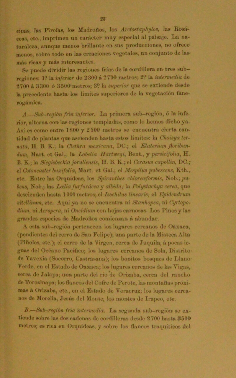 «¡has, las Pirólas, los Madroños, los Arctostaphylos, Tas Rosa- ceas, etc., imprimen un carácter muy especial al paisaje. La na- turaleza, aunque menos brillante en sus producciones, no ofrece menos, sobro todo en las creaciones vegetales, un conjunto de las más ricas y más interesantes. Se puede dividir las regiones frías do la cordillera en tres sub— regiones: 1? la inferior de 2300 á 2700 metros; 2? la intermedia de 2700 á 3300 ó 3500 metros; 3? la superior que se extiende desde la precedente basto los límites superiores de la vegetación fanc- rogámica. A.—Sub-región fría inferior. La primera sub-región, ó la infe- rior, alterna con las regiones templadas, como lo hemos dicho ya. Así es como entre 1800 y 2500 metros se encuentra cierta can- tidad de plantas que ascienden hasta estos límites: la Choisya ter~ nata, H. B. K.; la Clethra mexicana, IX?.; el Elaterium floribun- tlum, Mart. et Gal.; la Lobdia I/artwegi, Bent., y persicifolia, H. B. K.;1h Siegisbeckia jorvllemis, II. B. K.; el Cera sus capollin, I)C.; el Gotoneaster tmxifoiia, Mart. ct Gal.; el Mespilus ¡rubescens, Kth., etc. Entre las Orquídeas, los Spirantftes chloreaformis, Nob.; pu- betis, Nob.; las Ixiiia furfuráeea y alinda; la Polystiohya cerca, que descienden basta 1000 metros; el ísochilus lineares; el Epidendrum viteltinwn, etc. Aquí ya no se encuentra ni Stanhopea, ni Cyrtopo- dium, ni Acropera, ni Oncidium con hojas carnosas. Los Pinos y las grandes especies do Madroños comienzan á abundar. A esta sub—región pertenecen los lugares cercanos do Daxaca, (pendientes del cerro de Sun Felipe); una parte de la Misteca Alta (Pifióles, etc.); el cerro de la Virgen, cerca de Juquila, á j»ocas le- guas del Océano Pacifico; los lugares cercanos (le Sola, Distrito’ do Yavexia (Socorro, Castrasana); los bonitos bosqnes de Llano Tordo, en el Estado de Oaxaca; los lugares cercanos de las Vigas, cerca de Jalapa; no» porte del río de Orizaba, cerca del rancho de Torozinapa; los flancos del Cofre de Perote, las montañas próxi- mas á Drizaba, etc., en el Estado de Veracruz, los lugares cerca- nos de Morelia, Jesús del Monte, los montes de Irapeo, etc. B.—Sub-región fría intermedia. La segunda sub—regióo se ex- tiende sobre las dos cadenas de cordilleras desde 2 700 hasta 3500 metros; es rica en Orquídeas, y sobre los flancos traquíticos del