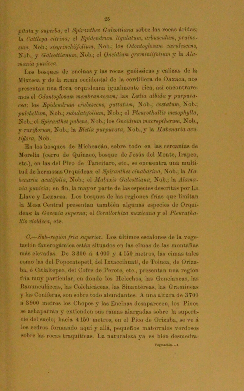pítala y superba; el Spiranthes Galeottíana sobre las rocas áridas; la Cattleya citrina; el Epidendrum ligulatum, arbusculum, pruino- sum, Nob.; sisyrinchiifolium, Nob.; los Odontoglosum ecerulcscens, Nob., y Galeottiannm, Nob.; el Oncidium graminiifolium y la Ala- manía punicea. Los bosques de encinas y las rocas gnóissicas y calizas de la Mixteen y de la rama occidental de la cordillera de Oaxaca, nos presentan una flora orquideana igualmente rica; así encontrare- mos el Odontoglosum membranaceum; las Loelia albida y purpura- ren; los Epidendrum erubescens, guttatum, Nob.; costatum, Nob.; pulchellum, Nob.; subulatifoliuriu, Nob.; el Ptevrothallis mesophylla, Nob.; el Spiranthes puben-s, Nob.; los Oncidium macroptherurn, Nob., y rariflorum, Nob.; la Bletia purpúrala, Nob., y la Ilabenaria acu- tifiora, Nob. En los bosques de Michoacán, sobre todo en las cercanías de Morelia (cerro de Quinzeo, bosque de Jesús del Monte, Irapeo, etc.), en las del Pico de Tancitaro, etc., se encuentra una multi- tud de hermosas Orquídeas- el Spiranthes cinabarinn, Nob.; la Ha- benaria acutifolia, Nob.; el Malaxis Galeottíana, Nob.; la Alama- nía punida; en fin, la mayor parte de las especies descritas por La Llave y Lexarca. Los bosques de las regiones frías que limitan la Mesa Central presentan también algunas especies de Orquí- deas: la Govenia superna; el Corallorhiza mexicana y el Pleuratha- llis violácea, etc. C.—Sub—región fría sujmrior. Los últimos escalones de la vege- tación fanerogámiea están situados en las cimas de las montañas más elevadas. De 3 300 a 4 000 y 4 150 metros, las cimas tales como las del Popocatopetl, del Ixtaccihuatl, de Toluca, de Oriza- ba, ó Citlaltepec, del Cofre de Perote, etc., presentan una región fría muy particular, en donde los Heléchos, las Gencianeas, las Ranunculáceas, las Colehicáeeas, las Binan té reas, las Gramíneas y las Coniferas, son sobre todo abundantes. A una altura de 3700 á 3900 metros los Chopos y las Encinas desaparecen, los Pinos se achaparran y extienden sus ramas alargadas sobre la superfi- cie del suelo; hacia 4150 metros, en el Pico de Orizaba, se ve á los cedros formando aquí y allá, pequeños matorrales verdosos sobre las rocas traquíticas. La naturaleza ya es bien desmedra- VegcUción. —4