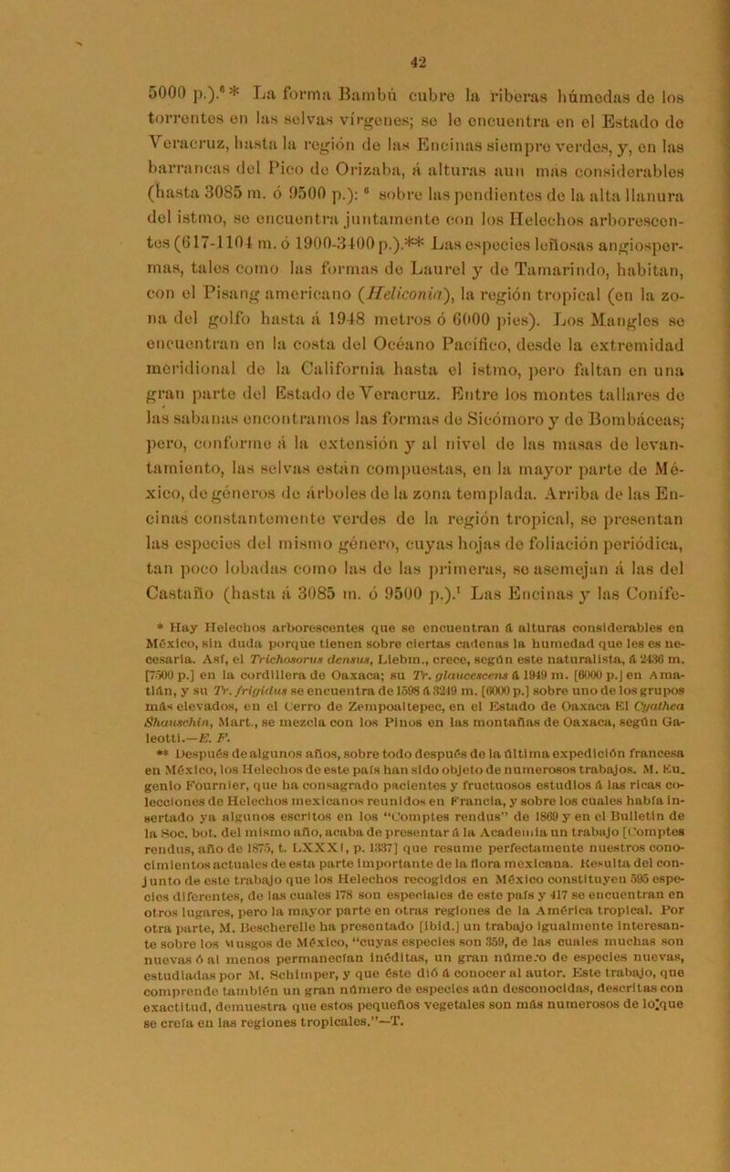 5000 p.).8 * La forma Bambú cubre la riberas húmedas de los torrentes en las selvas vírgenes; se le encuentra en el Estado de Veracruz, basta la región de las Encinas siempre verdes, y, en las barrancas del Pico de Orizaba, á alturas aun mas considerables (hasta 3085 m. ó 9500 p.): 6 sobre las pendientes de la alta llanura del istmo, se encuentra juntamente con los Heléchos arborescen- tes (617-1104 m. ó 1900-3400 p,).** Las especies leñosas angiosper- mas, tales como las formas de Laurel y de Tamarindo, habitan, con el Pisang americano (Heliconia), la región tropical (en la zo- na del golfo hasta á 1948 metros ó 0000 pies). Los Mangles se encuentran en la costa del Océano Pacífico, desde la extremidad meridional do la California hasta el istmo, pero faltan en una gran parte del Estado de Veracruz. Entre los montes tallares de las sabanas encontramos las formas de Sicómoro y do Bombáceas; pero, conformo á la extensión y al nivel de las masas de levan- tamiento, las selvas están compuestas, en la mayor parte de Mé- xico, de géneros de árboles de la zona templada. Arriba de las En- cinas constantemente verdes de la región tropical, se presentan las especies del mismo género, cuyas hojas de foliación periódica, tan poco lobadas como las de las primeras, so asemejan á las del Castaño (hasta á 3085 m. ó 9500 p.).1 Las Encinas y las Conífe- * Hay Heléchos arborescentes que se encuentran a alturas considerables en México, sin duda porque tienen sobre ciertas cadenas la humedad que les es ne- cesaria. Asf, el Trichosorus densu.i, Liebm., crece, según este naturalista, A 2436 m. [7600 p.] en la cordillera de Oaxaca; su Tr. glaucesce»wA 1949 m. [6000p.Jeu Ama- tlíln, y su 7V. frigidu» se encuentra de 1598 A 3249 m. [6000 p.] sobre uno de los grupos mAs elevados, en el Cerro de Zempoaltepec, en el Estado de Oaxaca El Cyathea Shauxchin, Mart., se mezcla con los Pinos en las montañas de Oaxaca, según Ga- leotti.-E. F. ** Después de algunos años, sobre todo después do la Al ti ma expedición francesa en México, los Heléchos do este país han sido objeto de numerosos trabajos. M. Ku_ genio Fóurnier, que ha consagrado pacientes y fructuosos estudios A las ricas co- lecciones de Heléchos mexicanos reunidos en Francia, y sobre los cuales había in- sertado ya algunos escritos en los “Comptes reudus” de 1869 y en el Bulletin de la Koc. bot. del mismo año, acaba de presentara la Academia un trabujo [(’omptes rendus, año de 1875, t. LXXXI, p. 1337] que resume perfectamente nuestros cono- cimientos actuales de esta parte importante de la llora mexicana. Hesultadel con- j unto de este trabajo que los Heléchos recogidos en México constituyen 595 espe- cies diferentes, de las cuales 178 son especiales de este país y 417 se encuentran en otros lugares, pero la mayor parte en otras reglones de la América tropical. Por otra parte, M. Ilescherelle ha presentado [ibid.] un trabajo igualmente interesan- te sobre los vi usgos de México, “cuyas especies son 359, de las cuales muchas son nuevas ó al menos permanecían Inéditas, un gran ndme.'O de especies nuevas, estudiadas por M. Schimper, y que éste dió A conocer al autor. Este trabajo, que comprende también un gran número de especies aún desconocidas, descritas con exactitud, demuestra que estos pequeños vegetales son inAs numerosos de lo]que se creía en las regiones tropicales.”—X.