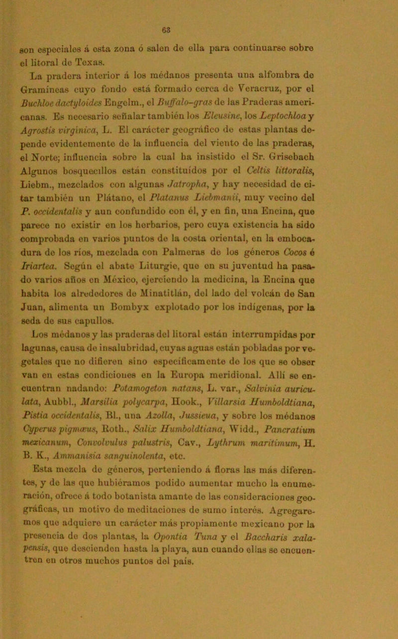 son especiales á osta zona ó salón de ella para continuarse sobre el litoral de Texas. La pradera interior á los médanos presenta una alfombra de Gramíneas cuyo fondo está formado cerca de Veracruz, por el Buchloe dactyloides Engelm., el Buffalo-gras de las Praderas ameri- canas. Es necesario señalar también los Eleusine, los Leptochloay Agrostis virgínica, L. El carácter geográfico de estas plantas de- pendo evidentemente de la influencia del viento de las praderas, el Norte; influencia sobre la cual ha insistido el Sr. Grisobach Algunos bosquecillos están constituidos por el Celtis littoralis, Liebm., mezclados con algunas Jatropha, y hay necesidad de ci- tar también un Plátano, el Platanus Liebmanii, muy vecino del P. occidentalis y aun confundido con él, y en fin, una Encina, quo parece no existir en los herbarios, pero cuya existencia ha sido comprobada en varios puntos de la costa oriental, en la emboca- dura de los ríos, mezclada con Palmeras de los géneros Cocos ó Iriartea. Según el abate Liturgie, que on su juventud ha pasa- do varios años en México, ejerciendo la medicina, la Encina que habita los alrededores de Minatitlán, del lado del volcán do San Juan, alimenta un Bombyx explotado por los indígenas, por la seda de sus capullos. Los médanos y las praderas del litoral están interrumpidas por lagunas, causa do insalubridad, cuyas aguas están pobladas por ve- getales que no difieren sino específicamente do los quo so obser van en estas condiciones en la Europa meridional. Allí se en- cuentran nadando: Potamogetón natans, L. var., Salvinia auricu- lata, Aubbl., Mar sitia polycarpa, Hook., Villarsia llumboldtiana, Pistia occidentalis, Bl., una Azolla, Jussieua, y sobre los médanos Cyperus pigrna;us, Koth., Salix Humboldtiana, Widd., Pancratium mexicanum, Convolvulus palustris, Cav., Lythrum maritimum, H. B. K., Ammanisia sanguinolenta, etc. Esta mezcla do géneros, pertcniendo á floras las más diferen- tes, y de las quo hubiéramos podido aumentar mucho la enume- ración, ofrece á todo botanista amante do las consideraciones geo- gráficas, un motivo do meditaciones de sumo interés. Agregare- mos que adquiero un carácter más propiamente mexicano por la presencia do dos plantas, la Opontia Tuna y el Baccharis xala- pensis, quo desciendon hasta la playa, aun cuando ellas se encuen- tren en otros muchos puntos del país.