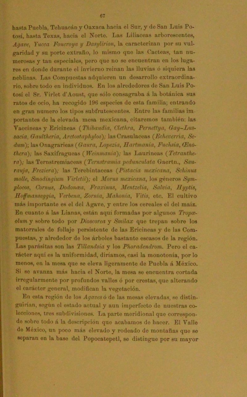 hasta Puebla. Tehuacán y Oaxaca hacia el Sur, y de San Luis Po- tosí, hasta Texas, hacia el Norte. Las Liliáceas arborescentes, Agave, Yucca Foucroya y Dasylirion, la caracterizan por su vul- garidad y su porto extraño, lo mismo que las Cácteas, tan nu- merosas y tan especiales, pero que no so encuentran en los luga- res en donde durante el invierno reinan las lluvias ó siquiera las neblinas. Las Compuestas adquieren un desarrollo extraordina- rio, sobre todo en individuos. En los alrededores de San Luis Po- tosí el Sr. Virlet d’Aoust, que sólo consagraba á la botánica sus ratos de ocio, ha recogido 196 especies de esta familia; entrando en gran numero los tipos subfrutescentes. Entre las familias im portantes do la elevada mesa mexicana, citaromos también: las Vaccíneas y Ericineas ( Thibaudia, Clethra, Pernettya, (íay-Lus- sacia, (raultheria, Arctostaphylos); las Crasulaceas (Echeverría, Se- dum)-, las Onagrarieas (Gaura, Lopezia, Hartmania, Fuchsia, <Eno- thera); las Saxifragueas (Weinniania); las Lauríneas (Tetrantfie- ra); las Ternstremiaceas ( Te rustrir mi a peduncu!ata Gaertn., San- rauja, Freziera); las Terebintáceas (Pistacia mexicana, Schinus molle, Sinodingium Virletii); el Monis mexicana, los géneros Syrn- plocos, Cornus, Dodomva, Fraxinus, Mentzdia, Salvia, Hyptis, Hofmanseggia, Verbena, Zornia, Mahonia, Vitis, etc. El cultivo más importante es el del Agave, y entre los cereales el del maíz. En cuanto á las Lianas, están aquí formadas por algunos Tropcc- olum y sobre todo por Dioscorea y Smilax que trepan sobre los matorrales do follajo persistente do las Ericineas y do las Com- puestas, y alrededor de los árboles bastante escasos de la región. Las parásitas son las Tillandsia y los Phoradendrom. Pero el ca- rácter aquí es la uniformidad, diríamos, casi la monotonía, por lo menos, en la mesa que se eleva ligeramente do Puebla á México. Si so avanza más hacia el Norte, la mesa se encuentra cortada irregularmento por profundos vallos ó por crestas, que alterando el carácter general, modifican la vegetación. En esta región de los Agaves ó de las mesas elevadas, so distin- guirían, según el ostado actual y aun imperfecto do nuestras co- lecciones, tres subdivisiones. La parte meridional que correspon- de sobro todo á la descripción que acabamos do hacer. El Vallo do México, un poco más elevado y rodeado do montañas que so separan on la baso del Popocatepetl, so distingue por su mayor