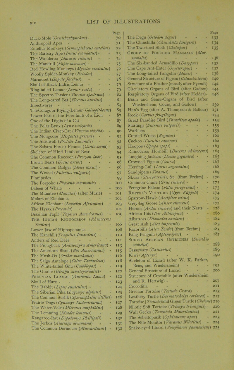 Duck-Mole (Omithorkynchus) - Anthropoid Apes Entellus Monkeys (Semnopithecus entellus) The Barbary Ape (Inuus ecaudatus) - The Wanderoo (Macacus silemis) The Mandrill (Papio mormon) - Red Howling Monkeys (Mycetes seniculus) Woolly Spider-Monkey (Eriodes) Marmoset (Hapale Jacchus) Skull of Black Indris Lemur - Ring-tailed Lemur (Lemur catta) The Spectre-Tarsier (Tarsius spectrum) - The Long-eared Bat (Plecotus auritus) Insectivores TheColugoor Flying-Lemur (Galeopithecus) Lower Part of the Fore-limb of a Lion One of the Digits of a Cat The Polar Lynx (Lynx vulgaris) The Indian Civet-Cat ( Viverra zibetha) The Mongoose (Herpestes griseus) The Aardwolf (Proteles Lalandii) The Sahara Fox or Fennec (Canis zerda) - Skeleton of Hind Limb of Bear The Common Raccoon (Procyon lotor) Brown Bears (Ursus arctos) The Common Badger (Meles laxus) - The Weasel (Putorius vulgaris) Pinnipedes ------ The Porpoise (Phoccena communis) - Baleen of WThale The Manatee (Manatus) (after Murie) Molars of Elephants - - - - African Elephant (Loxodon Africanus) The Hyrax (Procavia) - - - - Brazilian Tapir (Tapirus Americanus) The Indian Rhinoceros (Rhinoceros Indicus) ...... Lower Jaw of Hippopotamus - The Ivanchil (Tragulus Javanicus) - Antlers of Red Deer - - - - The Prongbuck (Antilocapra Americana) - The American Bison (Bos Americanus) The Musk-Ox (Ovibos moschalus) The Saiga Antelope (Coins Tartaricus) The White-tailed Gnu (Catoblepas) - The Giraffe (Giraffa Camelopardalis) - Peruvian Llamas (Auchenia Lama) - Skull of Hare The Rabbit (Lepus cuniculus) - The Siberian Pika (Lagomys alpinus) The Common Suslik (Spermophilus cilillus) Prairie-Dogs (Cynomys Ludovicianus) The Water-Vole (Microtus amphibius) The Lemming (Myodes lemmus) Kangaroo-Rat (Dipodomys Phillipsii) The Jerboa (Alactaga decumana) The Common Dormouse (Muscardinus) - Page The Degu (Octodon degus) - - - 133 The Chinchilla (Chinchilla lanigera) - 134 The Two-toed Sloth (Choice pus) ■ 135 Group of Pouched Mammals (Mar- supialia) - - - - - i.}6 The Six-banded Armadillo (Dasypus) - 137 The Cape Ant-Eater (Orycteropus) - 137 The Long-tailed Pangolin (Manis) - - 138 General Structure of Pigeon (Columba livia) 140 Structure of a Feather (mostly after Pycraft) 142 Circulatory Organs of Bird (after Gadow) 144 Respiratory Organs of Bird (after Heider)- 148 Brain and Sense-Organs of Bird (after Wiedersheim, Coues, and Gadow) - 150 Hen’s Egg (after A. Thompson & Balfour) 151 Rook (Corvus frugilegus) - - 153 Great Paradise Bird (Paradisea apoda) - 154 Starlings (Sturnus vulgaris) - - - 155 Warblers - - - - - - 159 Crested Wrens (Regulus) - 160 Cuckoo (Cuculus canorus) - - - 162 Hoopoe (Upupa epops) - - - - 163 Rhinoceros Hornbill (Buceros rhinoceros) 164 Laughing Jackass (Dacelo gigantea) - - 165 Crowned Pigeon (Goura) - - - - 167 Herring-Gull (Larus argentatus) - - 168 Sandpipers (Totanus) - - - - 169 Skuas (Stercorarius), &c. (from Brehm) - 170 Common Crane (Grus cinerea) - - - 171 Peregrine Falcon (Falco peregrinus) - - 173 Ruppel’s Vulture (Gyps Riippeli) - 174 Sparrow-Hawk (Accipiter nisus) - - 175 Grey-lag Goose (Anser cinercus) - -177 Herons (Ardea cinerea) and their Nests - 17S African Ibis (Ibis AEthiopica) - - - 1S0 Albatross (Diomedea exulans) - - - 182 Great Auk (A lea impennis) - - - I S3 Razorbills (Alca Torda) (from Brehm) - 1S5 King Penguin (Aptenodytes) - 1S7 South African Ostriches (Struthio camelus) - - - - - - iSS Cassowary (Casuarius) - - - - 189 Kiwi (Apteryx) 19° Skeleton of Lizard (after W. K. Parker, Boas, and Wriedersheim) - - - 197 General Structure of Lizard - - - 200 Structure of Crocodile (after Wiedersheim and R. Hertwig) 207 Crocodilia - - - - - - 211 Grecian Tortoise (7'cs/udo Grttca) - -213 Leathery Turtle (Dermatochelys coriacca) - 217 Tortoise ( Testudo)and Green Turtle (Chelonc) 219 Nilotic Soft Tortoise (Trionyx triunguis) - 220 Wall Gecko (Tarcntola Mauritanica) - 221 The Scheltopusik (Ophisaurus apus) - 223 The Nile Monitor (Varatms Niloticus) - 224 Snake-eyed Lizard (Ablcpharus pannonicus) 225 Page 70 71 72 73 74 75 76 77 78 79 79 80 81 84 85 87 87 89 90 9i 92 93 94 95 96 96 97 99 100 100 101 102 103 104 105 106 108 no hi ”3 115 116 118 119 120 122 123 124 125 126 127 128 129 130 131 132
