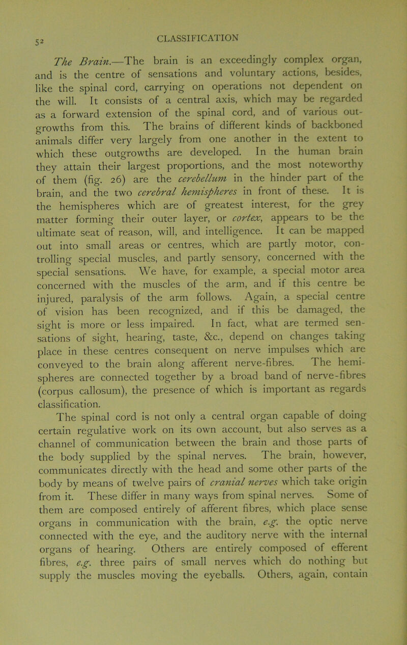The Brain.—The brain is an exceedingly complex organ, and is the centre of sensations and voluntary actions, besides, like the spinal cord, carrying on operations not dependent on the will. It consists of a central axis, which may be regarded as a forward extension of the spinal cord, and of various out- growths from this. The brains of different kinds of backboned animals differ very largely from one another in the extent to which these outgrowths are developed. In the human brain they attain their largest proportions, and the most noteworthy of them (fig. 26) are the cerebellum in the hinder part of the brain, and the two cerebral hemispheres in front of these. It is the hemispheres w'hich are of greatest interest, for the grey matter forming their outer layer, or cortex, appears to be the ultimate seat of reason, will, and intelligence. It can be mapped out into small areas or centres, which are partly motor, con- trolling special muscles, and partly sensory, concerned with the special sensations. We have, for example, a special motor area concerned with the muscles of the arm, and if this centre be injured, paralysis of the arm follows. Again, a special centre of vision has been recognized, and if this be damaged, the sight is more or less impaired. In fact, what are termed sen- sations of sight, hearing, taste, &c., depend on changes taking place in these centres consequent on nerve impulses which are conveyed to the brain along afferent nerve-fibres. The hemi- spheres are connected together by a broad band of nerve-fibres (corpus callosum), the presence of which is important as regards classification. The spinal cord is not only a central organ capable of doing certain regulative work on its own account, but also serves as a channel of communication between the brain and those parts of the body supplied by the spinal nerves. The brain, however, communicates directly with the head and some other parts of the body by means of twelve pairs of cranial nerves which take origin from it. These differ in many ways from spinal nerves. Some of them are composed entirely of afferent fibres, which place sense organs in communication with the brain, e.g. the optic nerve connected with the eye, and the auditory nerve with the internal organs of hearing. Others are entirely composed of efferent fibres, e.g. three pairs of small nerves which do nothing but supply the muscles moving the eyeballs. Others, again, contain