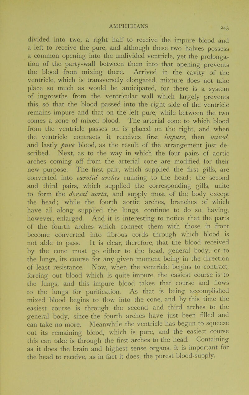 243 divided into two, a right half to receive the impure blood and a left to receive the pure, and although these two halves possess a common opening into the undivided ventricle, yet the prolonga- tion of the party-wall between them into that opening prevents the blood from mixing there. Arrived in the cavity of the ventricle, which is transversely elongated, mixture does not take place so much as woulci be anticipated, for there is a system of ingrowths from the ventricular wall which largely prevents this, so that the blood passed into the right side of the ventricle remains impure and that on the left pure, while between the two comes a zone of mixed blood. The arterial cone to which blood from the ventricle passes on is placed on the right, and when the ventricle contracts it receives first impure, then mixed, and lastly piire blood, as the result of the arrangement just de- scribed. Next, as to the way in which the four pairs of aortic arches coming off from the arterial cone are modified for their new purpose. The first pair, which supplied the first gills, are converted into carotid arches running to the head; the second and third pairs, which supplied the corresponding gills, unite to form the dorsal aorta, and supply most of the body except the head; while the fourth aortic arches, branches of which have all along supplied the lungs, continue to do so, having, however, enlarged. And it is interesting to notice that the parts of the fourth arches which connect them with those in front become converted into fibrous cords through which blood is not able to pass. It is clear, therefore, that the blood received by the cone must go either to the head, general body, or to the lungs, its course for any given moment being in the direction of least resistance. Now, when the ventricle begins to contract, forcing out blood which is quite impure, the easiest course is to the lungs, and this impure blood takes that course and flows to the lungs for purification. As that is being accomplished mixed blood begins to flow into the cone, and by this time the easiest course is through the second and third arches to the general body, since the fourth arches have just been filled and can take no more. Meanwhile the ventricle has begun to squeeze out its remaining blood, which is pure, and the easiest course this can take is through the first arches to the head. Containing as it does the brain and highest sense organs, it is important lor the head to receive, as in fact it does, the purest blood-supply.