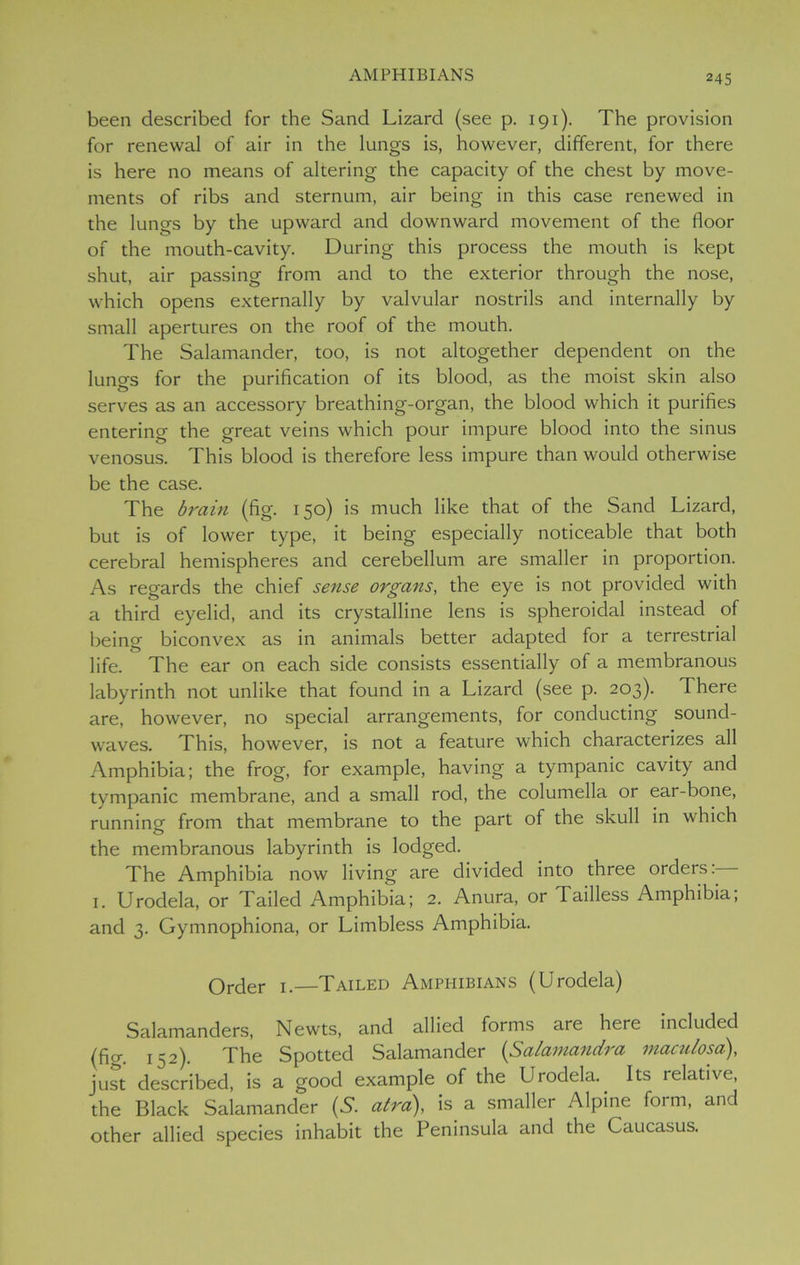 been described for the Sand Lizard (see p. 191). The provision for renewal of air in the lungs is, however, different, for there is here no means of altering the capacity of the chest by move- ments of ribs and sternum, air being in this case renewed in the lungs by the upward and downward movement of the floor of the mouth-cavity. During this process the mouth is kept shut, air passing from and to the exterior through the nose, which opens externally by valvular nostrils and internally by small apertures on the roof of the mouth. The Salamander, too, is not altogether dependent on the lungs for the purification of its blood, as the moist skin also serves as an accessory breathing-organ, the blood which it purifies entering the great veins which pour impure blood into the sinus venosus. This blood is therefore less impure than would otherwise be the case. The brain (fig. 150) is much like that of the Sand Lizard, but is of lower type, it being especially noticeable that both cerebral hemispheres and cerebellum are smaller in proportion. As regards the chief sense organs, the eye is not provided with a third eyelid, and its crystalline lens is spheroidal instead of being biconvex as in animals better adapted for a terrestrial life. The ear on each side consists essentially of a membranous labyrinth not unlike that found in a Lizard (see p. 203). There are, however, no special arrangements, for conducting sound- waves. This, however, is not a feature which characterizes all Amphibia; the frog, for example, having a tympanic cavity and tympanic membrane, and a small rod, the columella or ear-bone, running' from that membrane to the part of the skull in which the membranous labyrinth is lodged. The Amphibia now living are divided into three orders 1. Urodela, or Tailed Amphibia; 2. Anura, or Tailless Amphibia; and 3. Gymnophiona, or Limbless Amphibia. Order 1.—Tailed Amphibians (Urodela) Salamanders, Newts, and allied forms are here included (fig. 152). The Spotted Salamander (Salamandra maculosa), just described, is a good example of the Urodela. Its relative, the Black Salamander (S. alra), is a smaller Alpine form, and other allied species inhabit the Peninsula and the Caucasus.