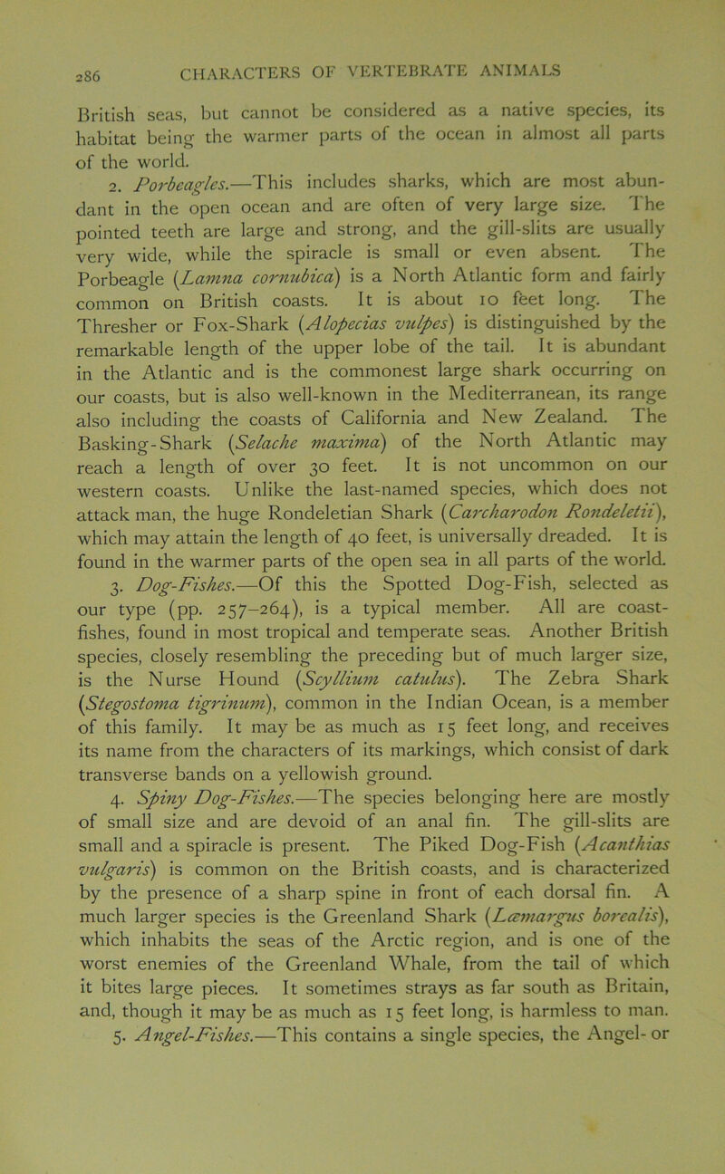British seas, but cannot be considered as a native species, its habitat being the warmer parts of the ocean in almost all parts of the world. 2. Porbeagles.—This includes sharks, which are most abun- dant in the open ocean and are often of very large size. The pointed teeth are large and strong, and the gill-slits are usually very wide, while the spiracle is small or even absent. The Porbeagle (Lanina cornubica) is a North Atlantic form and fairly common on British coasts. It is about io feet long. The Thresher or Fox-Shark (Alopecias vulpes) is distinguished by the remarkable length of the upper lobe of the tail. It is abundant in the Atlantic and is the commonest large shark occurring on our coasts, but is also well-known in the Mediterranean, its range also including the coasts of California and New Zealand. The Basking-Shark (Selache maximal) of the North Atlantic may reach a length of over 30 feet. It is not uncommon on our western coasts. Unlike the last-named species, which does not attack man, the huge Rondeletian Shark (Carcharodon Rondeletii), which may attain the length of 40 feet, is universally dreaded. It is found in the warmer parts of the open sea in all parts of the world. 3. Dog-Fishes.—Of this the Spotted Dog-Fish, selected as our type (pp. 257-264), is a typical member. All are coast- fishes, found in most tropical and temperate seas. Another British species, closely resembling the preceding but of much larger size, is the Nurse Hound [ScyIlium catuliis). The Zebra Shark (Stegostoma tigrinum), common in the Indian Ocean, is a member of this family. It may be as much as 15 feet long, and receives its name from the characters of its markings, which consist of dark transverse bands on a yellowish ground. 4. Spiny Dog-Fishes.—The species belonging here are mostly of small size and are devoid of an anal fin. The gill-slits are small and a spiracle is present. The Piked Dog-Fish (A cant bias vulgaris) is common on the British coasts, and is characterized by the presence of a sharp spine in front of each dorsal fin. A much larger species is the Greenland Shark (Lcemargus borealis), which inhabits the seas of the Arctic region, and is one of the worst enemies of the Greenland Whale, from the tail of which it bites large pieces. It sometimes strays as far south as Britain, and, though it may be as much as 15 feet long, is harmless to man. 5. Angel-Fishes.—This contains a single species, the Angel-or