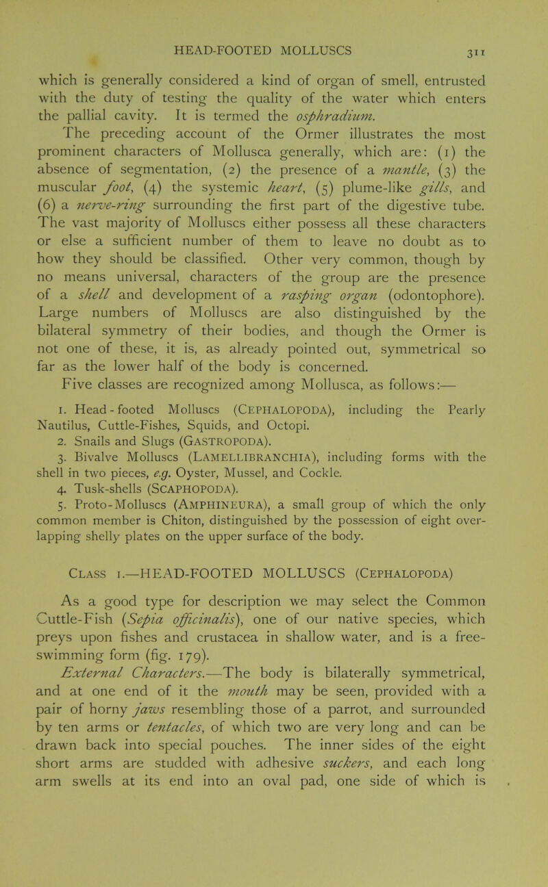 which is generally considered a kind of organ of smell, entrusted with the duty of testing the quality of the water which enters the pallial cavity. It is termed the osphradium. The preceding account of the Ormer illustrates the most prominent characters of Mollusca generally, which are: (i) the absence of segmentation, (2) the presence of a mantle, (3) the muscular foot, (4) the systemic heart, (5) plume-like gills, and (6) a nerue-ring surrounding the first part of the digestive tube. The vast majority of Molluscs either possess all these characters or else a sufficient number of them to leave no doubt as to how they should be classified. Other very common, though by no means universal, characters of the group are the presence of a shell and development of a rasping organ (odontophore). Large numbers of Molluscs are also distinguished by the bilateral symmetry of their bodies, and though the Ormer is not one of these, it is, as already pointed out, symmetrical so far as the lower half of the body is concerned. Five classes are recognized among Mollusca, as follows:— 1. Head - footed Molluscs (CEPHALOPODA), including the Pearly Nautilus, Cuttle-Fishes, Squids, and Octopi. 2. Snails and Slugs (Gastropoda). 3. Bivalve Molluscs (Lamellibranchia), including forms with the shell in two pieces, e.g. Oyster, Mussel, and Cockle. 4. Tusk-shells (Scaphopoda). 5. Proto-Molluscs (AMPHINEURA), a small group of which the only common member is Chiton, distinguished by the possession of eight over- lapping shelly plates on the upper surface of the body. Class i.—HEAD-FOOTED MOLLUSCS (Cephalopoda) As a good type for description we may select the Common Cuttle-Fish (Sepia officinalis'), one of our native species, which preys upon fishes and Crustacea in shallow water, and is a free- swimming form (fig. 179). External Characters.—The body is bilaterally symmetrical, and at one end of it the mouth may be seen, provided with a pair of horny jaws resembling those of a parrot, and surrounded by ten arms or tentacles, of which two are very long and can be drawn back into special pouches. The inner sides of the eight short arms are studded with adhesive suckers, and each long- arm swells at its end into an oval pad, one side of which is