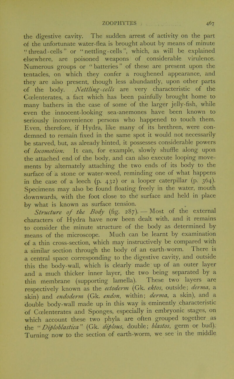 the digestive cavity. The sudden arrest of activity on the part of the unfortunate water-flea is brought about by means of minute “ thread-cells ” or “ nettling-cells ”, which, as will be explained elsewhere, are poisoned weapons of considerable virulence. Numerous groups or “batteries” of these are present upon the tentacles, on which they confer a roughened appearance, and they are also present, though less abundantly, upon other parts of the body. Nettling-cells are very characteristic of the Ccelenterates, a fact which has been painfully brought home to many bathers in the case of some of the larger jelly-fish, while even the innocent-looking sea-anemones have been known to seriously inconvenience persons who happened to touch them. Even, therefore, if Hydra, like many of its brethren, were con- demned to remain fixed in the same spot it would not necessarily be starved, but, as already hinted, it possesses considerable powers of locomotion. It can, for example, slowly shuffle along upon the attached end of the body, and can also execute looping move- ments by alternately attaching the two ends of its body to the surface of a stone or water-weed, reminding one of what happens in the case of a leech (p. 432) or a looper caterpillar (p. 364). Specimens may also be found floating freely in the water, mouth downwards, with the foot close to the surface and held in place by what is known as surface tension. Structure of the Body (fig. 287). — Most of the external characters of Hydra have now been dealt with, and it remains to consider the minute structure of the body as determined by means of the microscope. Much can be learnt by examination of a thin cross-section, which may instructively be compared with a similar section through the body of an earth-worm. There is a central space corresponding to the digestive cavity, and outside this the body-wall, which is clearly made up of an outer layer and a much thicker inner layer, the two being separated by a thin membrane (supporting lamella). These two layers are respectively known as the ectoderm (Gk. ektos, outside; derma, a skin) and endoderm (Gk. endon, within; derma, a skin), and a double body-wall made up in this way is eminently characteristic of Coelenterates and Sponges, especially in embryonic stages, on which account these two phyla are often grouped together as the “ Diploblastica ” (Gk. diplous, double; blast os, germ or bud). Turning now to the section of earth-worm, we see in the middle