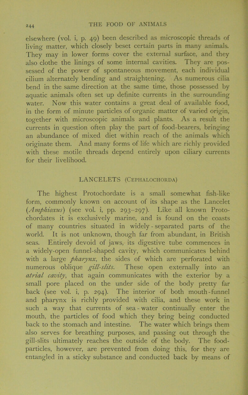 elsewhere (vol. i, p. 49) been described as microscopic threads of living matter, which closely beset certain parts in many animals. They may in lower forms cover the external surface, and they also clothe the linings of some internal cavities. They are pos- sessed of the power of spontaneous movement, each individual cilium alternately bending and straightening. As numerous cilia bend in the same direction at the same time, those possessed by aquatic animals often set up definite currents in the surrounding water. Now this water contains a great deal of available food, in the form of minute particles of organic matter of varied origin, together with microscopic animals and plants. As a result the currents in question often play the part of food-bearers, bringing an abundance of mixed diet within reach of the animals which originate them. And many forms of life which are richly provided with these motile threads depend entirely upon ciliary currents for their livelihood. LANCELETS (Cephalochorda) The highest Protochordate is a small somewhat fish-like form, commonly known on account of its shape as the Lancelet (Amphioxus) (see vol. i, pp. 293-297). Like all known Proto- chordates it is exclusively marine, and is found on the coasts of many countries situated in widely - separated parts of the world. It is not unknown, though far from abundant, in British seas. Entirely devoid of jaws, its digestive tube commences in a widely-open funnel-shaped cavity, which communicates behind with a large pharynx, the sides of which are perforated with numerous oblique gill-slits. These open externally into an atrial cavity, that again communicates with the exterior by a small pore placed on the under side of the body pretty far back (see vol. i, p. 294). The interior of both mouth-funnel and pharynx is richly provided with cilia, and these work in such a way that currents of sea - water continually enter the mouth, the particles of food which they bring being conducted back to the stomach and intestine. The water which brings them also serves for breathing purposes, and passing out through the gill-slits ultimately reaches the outside of the body. The food- particles, however, are prevented from doing this, for they are entangled in a sticky substance and conducted back by means of