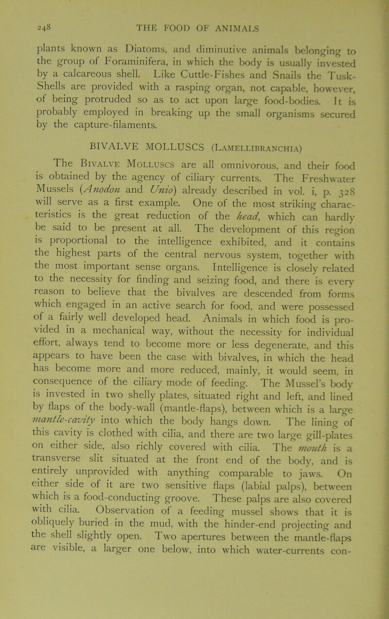 plants known as Diatoms, and diminutive animals belonging to the group of Foraminifera, in which the body is usually invested by a calcareous shell. Like Cuttle-Fishes and Snails the Tusk- Shells are provided with a rasping organ, not capable, however, of being protruded so as to act upon large food-bodies. It is probably employed in breaking up the small organisms secured by the capture-filaments. BIVALVE MOLLUSCS (Lamellibranchia) The Bivalve Molluscs are all omnivorous, and their food is obtained by the agency of ciliary currents. The Freshwater Mussels (Anodon and Unio) already described in vol. i, p. 328 will serve as a first example. One of the most striking charac- teristics is the great reduction of the head, which can hardly be said to be present at all. The development of this region is proportional to the intelligence exhibited, and it contains the highest parts of the central nervous system, together with the most important sense organs. Intelligence is closely related to the necessity for finding and seizing food, and there is even- reason to believe that the bivalves are descended from forms which engaged in an active search for food, and were possessed of a fairly well developed head. Animals in which food is pro- vided in a mechanical way, without the necessity for individual effort, always tend to become more or less degenerate, and this appears to have been the case with bivalves, in which the head has become more and more reduced, mainly, it would seem, in consequence of the ciliary mode of feeding. The Mussel’s body is invested in two shelly plates, situated right and left, and lined by flaps of the body-wall (mantle-flaps), between which is a large mantle-cavity into which the body hangs down. The lining of this cavity is clothed with cilia, and there are two large gill-plates on either side, also richly covered with cilia. The mouth is a transverse slit situated at the front end of the bodv, and is entirely unprovided with anything comparable to jaws. On either side of it are two sensitive flaps (labial palps), between which is a food-conducting groove. These palps are also covered with cilia. Observation of a feeding mussel shows that it is obliquely buried in the mud, with the hinder-end projecting and the shell slightly open. Two apertures between the mantle-flaps aie visible, a larger one below, into which water-currents con-