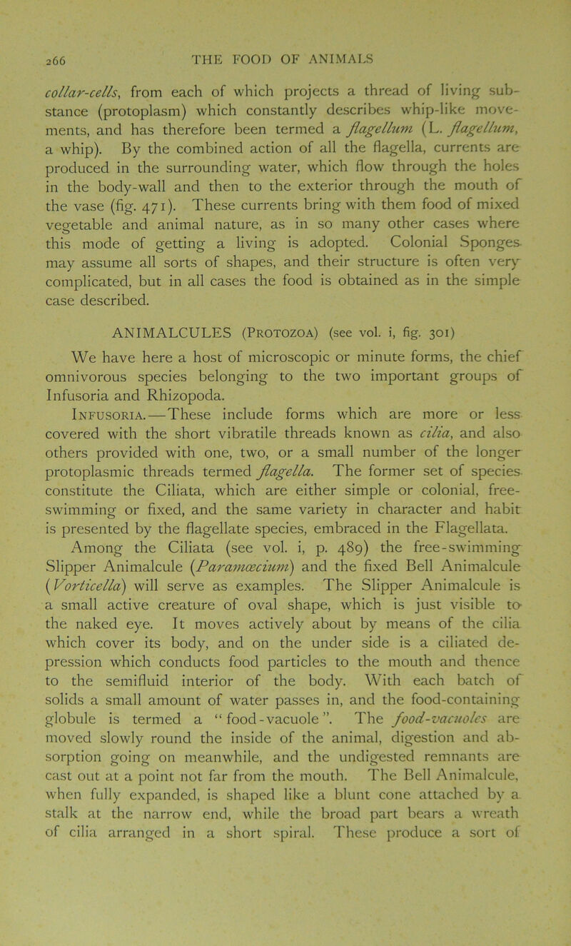 collar-cells, from each of which projects a thread of living sub- stance (protoplasm) which constantly describes whip-like move- ments, and has therefore been termed a flagellum (L. flagellum, a whip). By the combined action of all the flagella, currents are produced in the surrounding water, which flow through the holes in the body-wall and then to the exterior through the mouth of the vase (fig. 471). These currents bring with them food of mixed vegetable and animal nature, as in so many other cases where this mode of getting a living is adopted. Colonial Sponges may assume all sorts of shapes, and their structure is often ver)r complicated, but in all cases the food is obtained as in the simple case described. ANIMALCULES (Protozoa) (see vol. i, fig. 301) We have here a host of microscopic or minute forms, the chief omnivorous species belonging to the two important groups of Infusoria and Rhizopoda. Infusoria.—These include forms which are more or less covered with the short vibratile threads known as cilia, and also others provided with one, two, or a small number of the longer protoplasmic threads termed flagella. The former set of species constitute the Ciliata, which are either simple or colonial, free- swimming or fixed, and the same variety in character and habit is presented by the flagellate species, embraced in the Flagellata. Among the Ciliata (see vol. i, p. 489) the free-swimming Slipper Animalcule (Paramcecium) and the fixed Bell Animalcule (Vorticella) will serve as examples. The Slipper Animalcule is a small active creature of oval shape, which is just visible to- the naked eye. It moves actively about by means of the cilia which cover its body, and on the under side is a ciliated de- pression which conducts food particles to the mouth and thence to the semifluid interior of the body. With each batch ol solids a small amount of water passes in, and the food-containing globule is termed a “ food-vacuole ”. The food-vacuoles are moved slowly round the inside of the animal, digestion and ab- sorption going on meanwhile, and the undigested remnants are cast out at a point not far from the mouth. The Bell Animalcule, when fully expanded, is shaped like a blunt cone attached by a stalk at the narrow end, while the broad part bears a wreath of cilia arranged in a short spiral. These produce a sort of