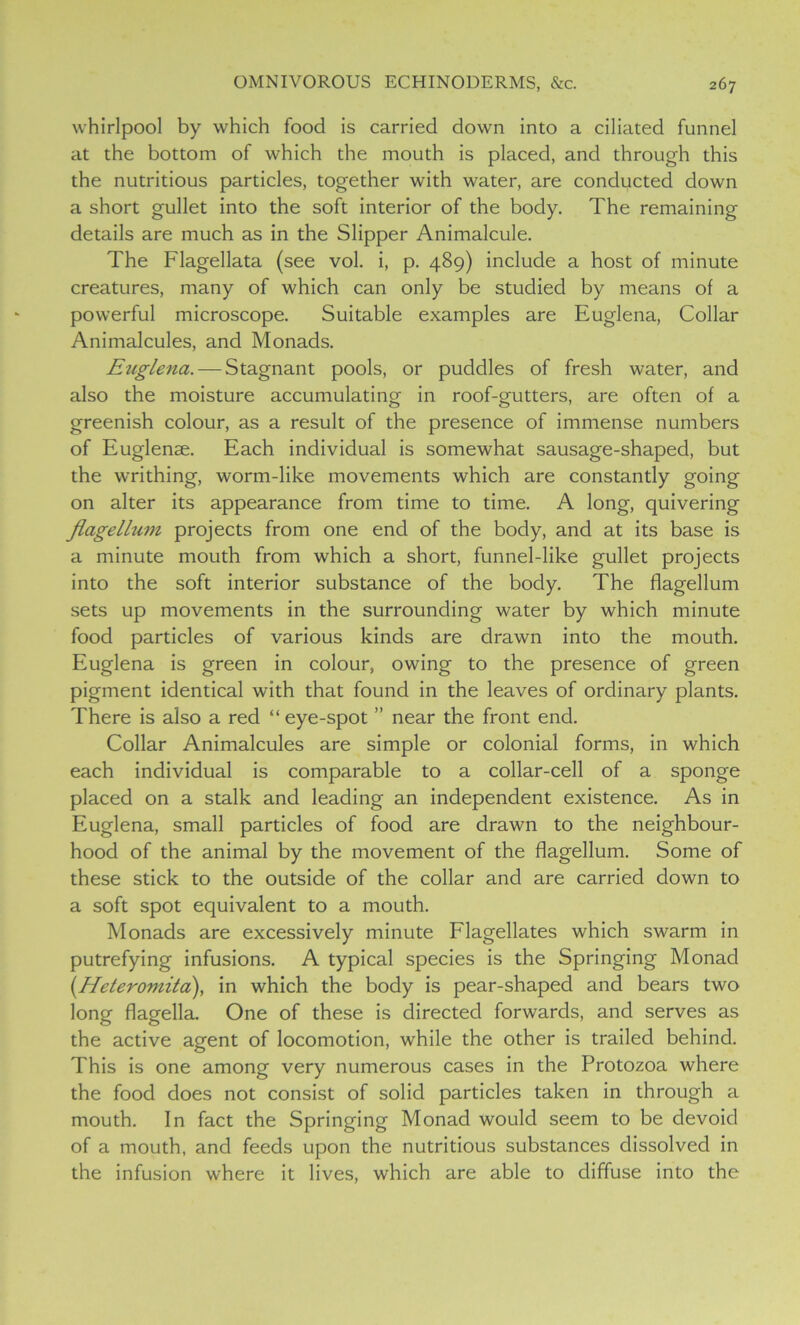 whirlpool by which food is carried down into a ciliated funnel at the bottom of which the mouth is placed, and through this the nutritious particles, together with water, are conducted down a short gullet into the soft interior of the body. The remaining details are much as in the Slipper Animalcule. The Flagellata (see vol. i, p. 489) include a host of minute creatures, many of which can only be studied by means of a powerful microscope. Suitable examples are Euglena, Collar Animalcules, and Monads. Euglena. — Stagnant pools, or puddles of fresh water, and also the moisture accumulating in roof-gutters, are often of a greenish colour, as a result of the presence of immense numbers of Euglenae. Each individual is somewhat sausage-shaped, but the writhing, worm-like movements which are constantly going on alter its appearance from time to time. A long, quivering flagellum projects from one end of the body, and at its base is a minute mouth from which a short, funnel-like gullet projects into the soft interior substance of the body. The flagellum sets up movements in the surrounding water by which minute food particles of various kinds are drawn into the mouth. Euglena is green in colour, owing to the presence of green pigment identical with that found in the leaves of ordinary plants. There is also a red “ eye-spot ” near the front end. Collar Animalcules are simple or colonial forms, in which each individual is comparable to a collar-cell of a sponge placed on a stalk and leading an independent existence. As in Euglena, small particles of food are drawn to the neighbour- hood of the animal by the movement of the flagellum. Some of these stick to the outside of the collar and are carried down to a soft spot equivalent to a mouth. Monads are excessively minute Flagellates which swarm in putrefying infusions. A typical species is the Springing Monad \Heteromita), in which the body is pear-shaped and bears two long flagella. One of these is directed forwards, and serves as the active agent of locomotion, while the other is trailed behind. This is one among very numerous cases in the Protozoa where the food does not consist of solid particles taken in through a mouth. In fact the Springing Monad would seem to be devoid of a mouth, and feeds upon the nutritious substances dissolved in the infusion where it lives, which are able to diffuse into the