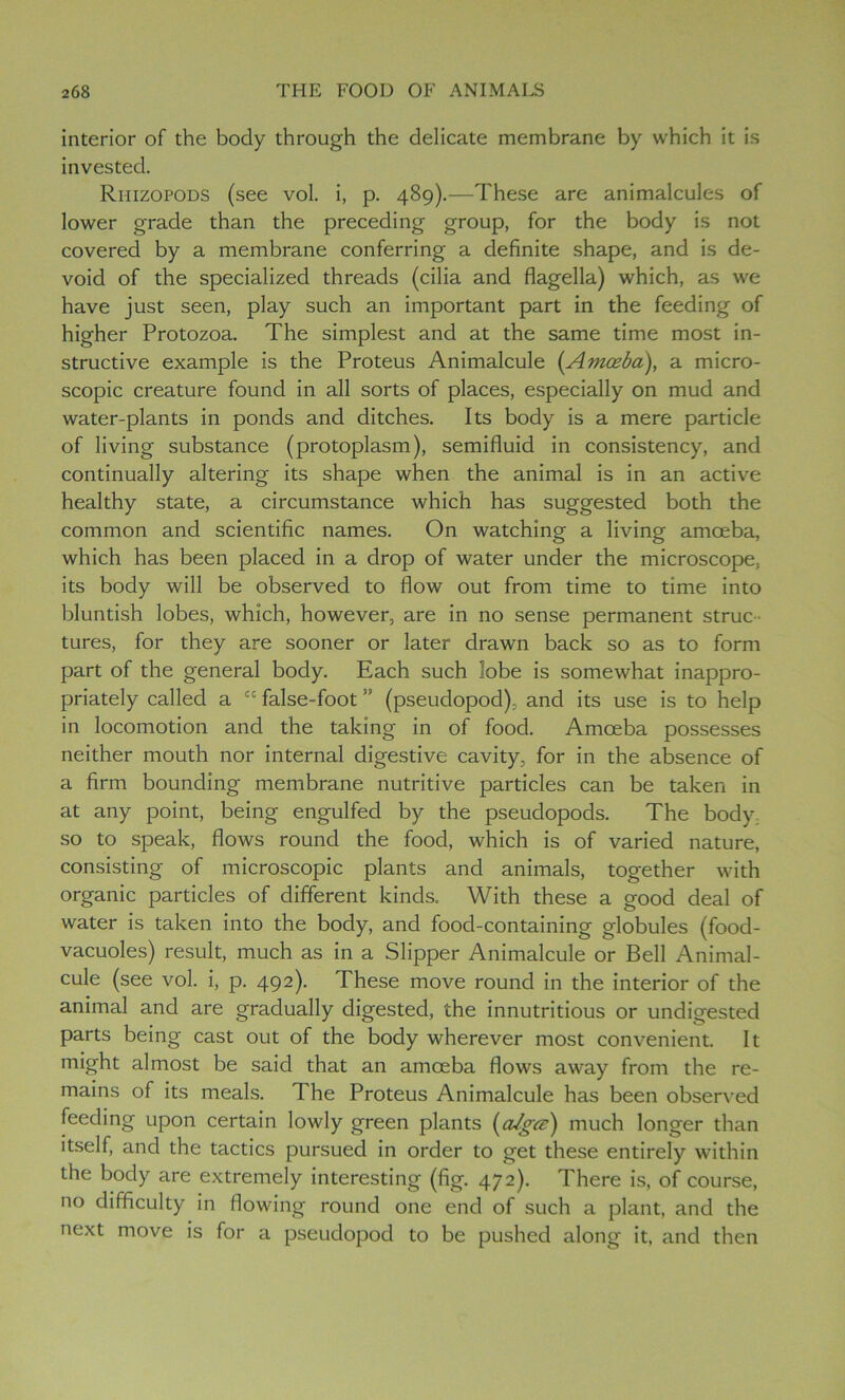 interior of the body through the delicate membrane by which it is invested. Rhizopods (see vol. i, p. 489).—These are animalcules of lower grade than the preceding group, for the body is not covered by a membrane conferring a definite shape, and is de- void of the specialized threads (cilia and flagella) which, as we have just seen, play such an important part in the feeding of higher Protozoa. The simplest and at the same time most in- structive example is the Proteus Animalcule (Amoeba), a micro- scopic creature found in all sorts of places, especially on mud and water-plants in ponds and ditches. Its body is a mere particle of living substance (protoplasm), semifluid in consistency, and continually altering its shape when the animal is in an active healthy state, a circumstance which has suggested both the common and scientific names. On watching a living amoeba, which has been placed in a drop of water under the microscope, its body will be observed to flow out from time to time into bluntish lobes, which, however, are in no sense permanent struc tures, for they are sooner or later drawn back so as to form part of the general body. Each such lobe is somewhat inappro- priately called a “ false-foot ” (pseudopod), and its use is to help in locomotion and the taking in of food. Amoeba possesses neither mouth nor internal digestive cavity, for in the absence of a firm bounding membrane nutritive particles can be taken in at any point, being engulfed by the pseudopods. The body; so to speak, flows round the food, which is of varied nature, consisting of microscopic plants and animals, together with organic particles of different kinds. With these a good deal of water is taken into the body, and food-containing globules (food- vacuoles) result, much as in a Slipper Animalcule or Bell Animal- cule (see vol. i, p. 492). These move round in the interior of the animal and are gradually digested, the innutritious or undigested parts being cast out of the body wherever most convenient. It might almost be said that an amoeba flows away from the re- mains of its meals. The Proteus Animalcule has been observed feeding upon certain lowly green plants (aJgcz) much longer than itself, and the tactics pursued in order to get these entirely within the body are extremely interesting (fig. 472). There is, of course, no difficulty in flowing round one end of such a plant, and the next move is for a pseudopod to be pushed along it, and then