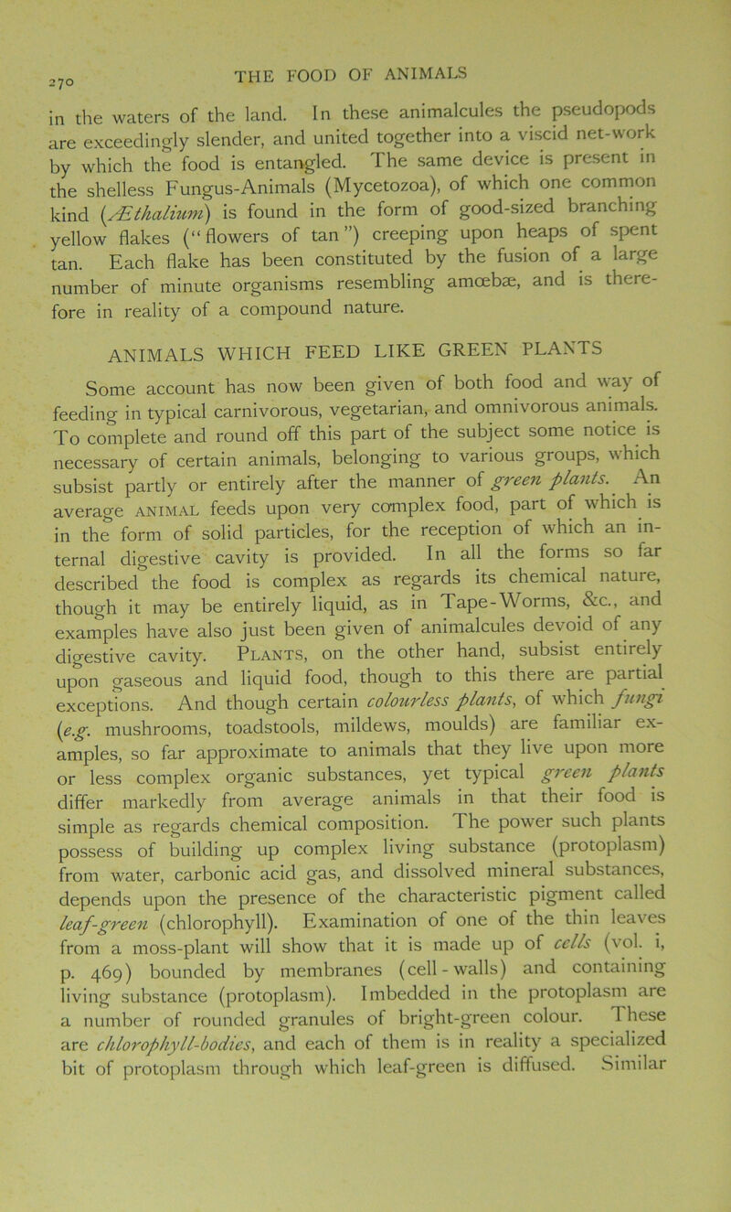 in the waters of the land. In these animalcules the pseudopods are exceedingly slender, and united together into a viscid net-work by which the food is entangled. The same device is present in the shelless Fungus-Animals (Mycetozoa), of which one common kind (AEthalium) is found in the form of good-sized branching yellow flakes (“flowers of tan”) creeping upon heaps of spent tan. Each flake has been constituted by the fusion of a large number of minute organisms resembling amcebse, and is there- fore in reality of a compound nature. ANIMALS WHICH FEED LIKE GREEN PLANTS Some account has now been given of both food and way of feeding in typical carnivorous, vegetarian, and omnivorous animals. To complete and round off this part of the subject some notice is necessary of certain animals, belonging to various groups, which subsist partly or entirely after the manner of green plants. An average animal feeds upon very complex food, part of which is in the form of solid particles, for the reception of which an in- ternal digestive cavity is provided. In all the forms so far described the food is complex as regards its chemical nature, though it may be entirely liquid, as in Tape-Worms, &c., and examples have also just been given of animalcules de\ oid of any digestive cavity. Plants, on the other hand, subsist entirely upon gaseous and liquid food, though to this there ai e partial exceptions. And though certain colourless plants, of which fungi (eg. mushrooms, toadstools, mildews, moulds) are familiar ex- amples, so far approximate to animals that they live upon more or less complex organic substances, yet typical green plants differ markedly from average animals in that their food is simple as regards chemical composition. The power such plants possess of building up complex living substance (protoplasm) from water, carbonic acid gas, and dissolved mineral substances, depends upon the presence of the characteristic pigment called leaf-green (chlorophyll). Examination of one of the thin leaves from a moss-plant will show that it is made up of cells (vol. i, p. 469) bounded by membranes (cell-walls) and containing living substance (protoplasm). Imbedded in the protoplasm aie a number of rounded granules of bright-green colour. 1 hese are chlorophyll-bodies, and each of them is in reality^ a specialized bit of protoplasm through which leaf-green is diffused. Similar