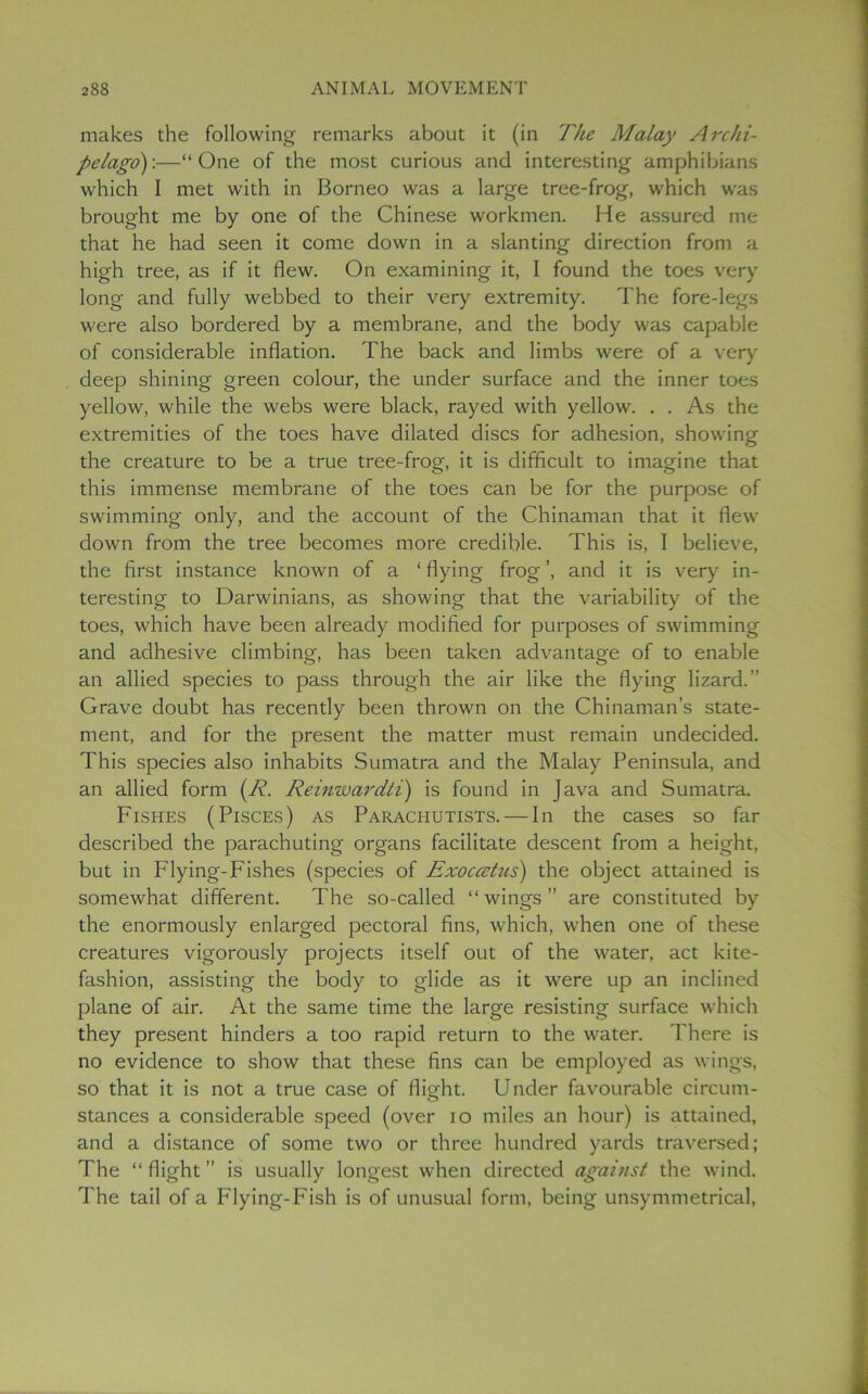 makes the following remarks about it (in The Malay Archi- pelago)'.—“One of the most curious and interesting amphibians which I met with in Borneo was a large tree-frog, which was brought me by one of the Chinese workmen. He assured me that he had seen it come down in a slanting direction from a high tree, as if it flew. On examining it, I found the toes very long and fully webbed to their very extremity. The fore-legs were also bordered by a membrane, and the body was capable of considerable inflation. The back and limbs were of a very deep shining green colour, the under surface and the inner toes yellow, while the webs were black, rayed with yellow. . . As the extremities of the toes have dilated discs for adhesion, showing the creature to be a true tree-frog, it is difficult to imagine that this immense membrane of the toes can be for the purpose of swimming only, and the account of the Chinaman that it flew down from the tree becomes more credible. This is, I believe, the first instance known of a ‘ flying frog ’, and it is very in- teresting to Darwinians, as showing that the variability of the toes, which have been already modified for purposes of swimming and adhesive climbing, has been taken advantage of to enable an allied species to pass through the air like the flying lizard.” Grave doubt has recently been thrown on the Chinaman’s state- ment, and for the present the matter must remain undecided. This species also inhabits Sumatra and the Malay Peninsula, and an allied form (R. Reinwardti) is found in Java and Sumatra. Fishes (Pisces) as Parachutists. — In the cases so far described the parachuting organs facilitate descent from a height, but in Flying-Fishes (species of Exoccetus) the object attained is somewhat different. The so-called “wings” are constituted by the enormously enlarged pectoral fins, which, when one of these creatures vigorously projects itself out of the water, act kite- fashion, assisting the body to glide as it were up an inclined plane of air. At the same time the large resisting surface which they present hinders a too rapid return to the water. There is no evidence to show that these fins can be employed as wings, so that it is not a true case of flight. Under favourable circum- stances a considerable speed (over 10 miles an hour) is attained, and a distance of some two or three hundred yards traversed; The “flight” is usually longest when directed against the wind. The tail of a Flying-Fish is of unusual form, being unsymmetrical,