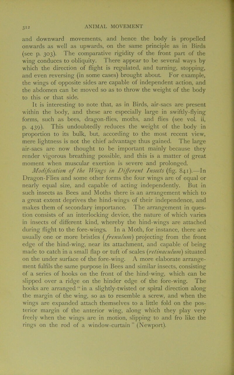 and downward movements, and hence the body is propelled onwards as well as upwards, on the same principle as in Birds (see p. 303). The comparative rigidity of the front part of the wing conduces to obliquity. There appear to be several ways by which the direction of flight is regulated, and turning, stopping, and even reversing (in some cases) brought about. For example, the wings of opposite sides are capable of independent action, and the abdomen can be moved so as to throw the weight of the body to this or that side. It is interesting to note that, as in Birds, air-sacs are present within the body, and these are especially large in swiftly-flying forms, such as bees, dragon-flies, moths, and flies (see vol. ii, p. 439). This undoubtedly reduces the weight of the body in proportion to its bulk, but, according to the most recent view, mere lightness is not the chief advantage thus gained. The large air-sacs are now thought to be important mainly because they render vigorous breathing possible, and this is a matter of great moment when muscular exertion is severe and prolonged. Modification of the Wings in Different Insects (fig. 841).—In Dragon-Flies and some other forms the four wings are of equal or nearly equal size, and capable of acting independently. But in such insects as Bees and Moths there is an arrangement which to a great extent deprives the hind-wings of their independence, and makes them of secondary importance. The arrangement in ques- tion consists of an interlocking device, the nature of which varies in insects of different kind, whereby the hind-wings are attached during flight to the fore-wings. In a Moth, for instance, there are usually one or more bristles (frenulum) projecting from the front edge of the hind-wing, near its attachment, and capable of being made to catch in a small flap or tuft of scales (retinaculum) situated on the under surface of the fore-wina'. A more elaborate arrange- ment fulfils the same purpose in Bees and similar insects, consisting of a series of hooks on the front of the hind-wing, which can be slipped over a ridge on the hinder edge of the fore-wing. The hooks are arranged “ in a slightly-twisted or spiral direction along the margin of the wing, so as to resemble a screw, and when the wings are expanded attach themselves to a little fold on the pos- terior margin of the anterior wing, along which they play very freely when the wings are in motion, slipping to and fro like the rings on the rod of a window-curtain ” (Newport).