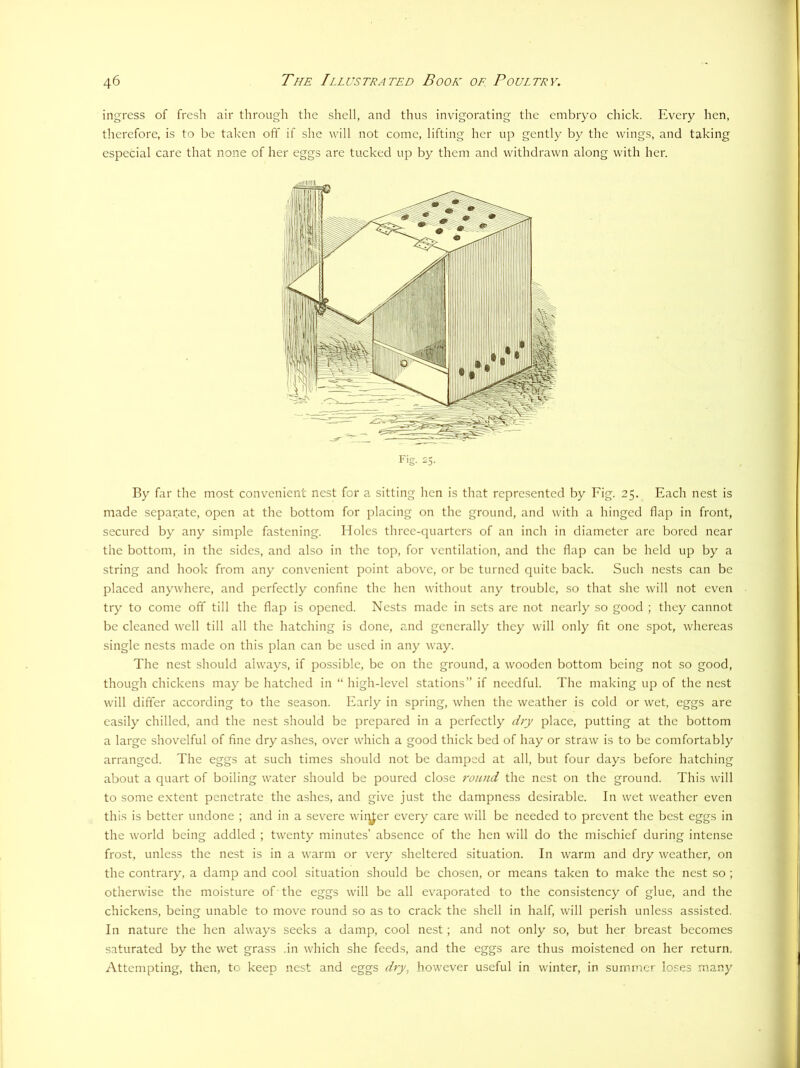 ingress of fresh air through the shell, and thus invigorating the embryo chick. Every hen, therefore, is to be taken off if she will not come, lifting her up gently by the wings, and taking especial care that none of her eggs are tucked up by them and withdrawn along with her. By far the most convenient nest for a sitting hen is that represented by Fig. 25. Each nest is made separate, open at the bottom for placing on the ground, and with a hinged flap in front, secured by any simple fastening. Holes three-quarters of an inch in diameter are bored near the bottom, in the sides, and also in the top, for ventilation, and the flap can be held up by a string and hook from any convenient point above, or be turned quite back. Such nests can be placed anywhere, and perfectly confine the hen without any trouble, so that she will not even try to come off till the flap is opened. Nests made in sets are not nearly so good ; they cannot be cleaned well till all the hatching is done, and generally they will only fit one spot, whereas single nests made on this plan can be used in any way. The nest should always, if possible, be on the ground, a wooden bottom being not so good, though chickens may be hatched in “ high-level stations” if needful. The making up of the nest will differ according to the season. Early in spring, when the weather is cold or wet, eggs are easily chilled, and the nest should be prepared in a perfectly dry place, putting at the bottom a large shovelful of fine dry ashes, over which a good thick bed of hay or straw is to be comfortably arranged. The eggs at such times should not be damped at all, but four days before hatching about a quart of boiling water should be poured close round the nest on the ground. This will to some extent penetrate the ashes, and give just the dampness desirable. In wet weather even this is better undone ; and in a severe wirier every care will be needed to prevent the best eggs in the world being addled ; twenty minutes’ absence of the hen will do the mischief during intense frost, unless the nest is in a warm or very sheltered situation. In warm and dry weather, on the contrary, a damp and cool situation should be chosen, or means taken to make the nest so ; otherwise the moisture of the eggs will be all evaporated to the consistency of glue, and the chickens, being unable to move round so as to crack the shell in half, will perish unless assisted. In nature the hen always seeks a damp, cool nest; and not only so, but her breast becomes saturated by the wet grass .in which she feeds, and the eggs are thus moistened on her return. Attempting, then, to keep nest and eggs dry, however useful in winter, in summer loses many