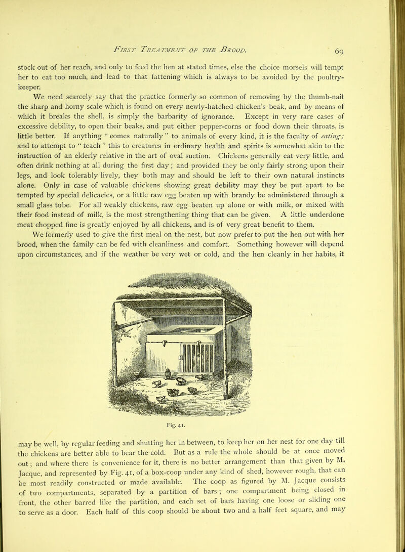 I^^iRST Treatment oe the Brood. stock out of her reach, and only to feed the hen at stated times, else the choice morsels will tempt her to eat too much, and lead to that fattening which is always to be avoided by the poultry- keeper. We need scarcely say that the practice formerly so common of removing by the thumb-nail the sharp and horny scale which is found on every newly-hatched chicken’s beak, and by means of which it breaks the shell, is simply the barbarity of ignorance. Except in very rare cases of excessive debility, to open their beaks, and put either pepper-corns or food down their throats, is little better. If anything “ comes naturally ” to animals of every kind, it is the faculty of eating; and to attempt to “ teach ” this to creatures in ordinary health and spirits is somewhat akin to the instruction of an elderly relative in the art of oval suction. Chickens generally eat very little, and often drink nothing at all during the first day ; and provided they be only fairly strong upon their legs, and look tolerably lively, they both may and should be left to their own natural instincts alone. Only in case of valuable chickens showing great debility may they be put apart to be tempted by special delicacies, or a little raw egg beaten up with brandy be administered through a small glass tube. For all weakly chickens, raw egg beaten up alone or with milk, or mixed with their food instead of milk, is the most strengthening thing that can be given. A little underdone meat chopped fine is greatly enjoyed by all chickens, and is of very great benefit to them. We formerly used to give the first meal on the nest, but now prefer to put the hen out with her brood, when the family can be fed with cleanliness and comfort. Something however will depend upon circumstances, and if the weather be very wet or cold, and the hen cleanly in her habits, it Fig. 41. may be well, by regular feeding and shutting her in between, to keep her on her nest for one day till the chickens are better able to bear the cold. But as a rule the whole should be at once moved out; and where there is convenience for it, there is no better arrangement than that given by M, Jacque, and represented by Fig. 41, of a box-coop under any kind of shed, however rough, that can be most readily constructed or made available. The coop as figured by M. Jacque consists of two compartments, separated by a partition of bars ; one compartment being closed m front, the other barred like the partition, and each set of bars having one loose or sliding one to serve as a door. Each half of this coop should be about two and a half feet square, and may