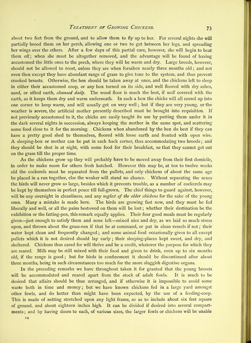Treatment of Growing Chickens. about two feet from the ground, and to allow them to fly up to her. For several nights she will partially brood them on her perch, allowing one or two to get between her legs, and spreading her wings over the others. After a few days of this partial care, however, she will begin to beat them off; when she must be altogether removed, and the advantage will be found of having accustomed the little ones to the perch, where they will be warm and dry. Large breeds, however, should not be allowed to roost, unless they are when forsaken nearly three months old; and not even then except they have abundant range of grass to give tone to the system, and thus prevent crooked breasts. Otherwise, the hen should be taken away at once, and the chickens left to sleep in either their accustomed coop, or any box turned on its side, and well floored with dry ashes, sand, or sifted earth, cleansed daily. The wood floor is much the best, if well covered with the earth, as it keeps them dry and warm underneath. In such a box the chicks will all crowd up into one corner to keep warm, and will usually get on very well; but if they are very young, or the weather is severe, the artificial mother presently described must be brought into requisition. If not previously accustomed to it, the chicks are easily taught its use by putting them under it in the dark several nights in succession, always keeping the mother in the same spot, and scattering some food close to it for the morning. Chickens when abandoned by the hen do best if they can have a pretty good shed to themselves, floored with loose earth and fronted with open wire. A sleeping-box or mother can be put in each back corner, thus accommodating two broods; and they should be shut in at night, with some food for their breakfast, so that they cannot get out on the grass till the proper time. As the chickens grow up they will probably have to be moved away from their first domicile, in order to make room for others fresh hatched. However this may be, at ten to twelve weeks old the cockerels must be separated from the pullets, and only chickens of about the same age be placed in a run together, else the weaker will stand no chance. Without separating the sexes the birds will never grow so large, besides which it prevents trouble, as a number of cockerels may be kept by themselves in perfect peace till full-grown. The chief things to guard against, however, will be any oversight in cleanliness, and any neglect of the older chickens for the sake of the young ones. Many a mistake is made here. The birds are growing fast now, and they must be fed liberally and well, or all the pains bestowed on them will be lost; whether their destination be the exhibition or the fatting-pen, this remark equally applies. Their four good meals must be regularly given—^just enough to satisfy them and none left—mixed nice and dry, as we laid so much stress upon, and thrown about the grass-run if that be at command, or put in clean vessels if not; their water kept clean and frequently changed ; and some animal food occasionally given to all except pullets which it is not desired should lay early ; their sleeping-places kept sweet, and dry, and sheltered. Chickens thus cared for will thrive and be a credit, whatever the purpose for which they are reared. Milk may be still mixed with their food and given to drink, even up to six months old, if the range is good ; but for birds in confinement it should be discontinued after about three months, being in such circumstances too much for the more sluggish digestive organs. In the preceding remarks we have throughout taken it for granted that the young broods will be accommodated and reared apart from the stock of adult fowls. It is much to be desired that affairs should be thus arranged, and if otherwise it is impossible to avoid some waste both in time and money; but we have known chickens fed in a large yard amongst other fowls, and do better than might have been expected, by the use of a feeding-coop. This is made of netting stretched upon any light frame, so as to include about six feet square of ground, and about eighteen inches high. It can be divided if desired into several compart- ments ; and by having doors to each, of various sizes, the larger fowls or chickens will be unable