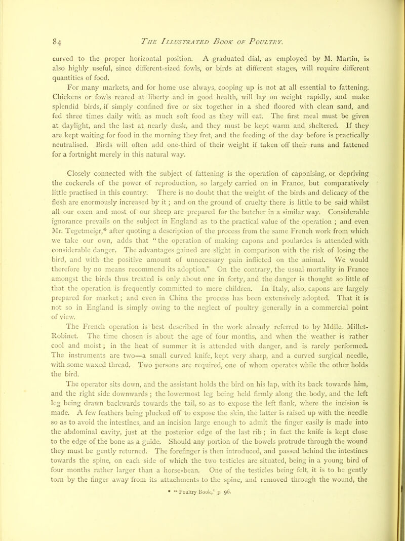 curved to the proper horizontal position. A graduated dial, as employed by M. Martin, is also highly useful, since different-sized fowls, or birds at different stages, will require different quantities of food. For many markets, and for home use always, cooping up is not at all essential to fattening. Chickens or fowls reared at liberty and in good health, will lay on weight rapidly, and make splendid birds, if simply confined five or six together in a shed floored with clean sand, and fed three times daily with as much soft food as they will eat. The first meal must be given at daylight, and the last at nearly dusk, and they must be kept warm and sheltered. If they are kept waiting for food in the morning they fret, and the feeding of the day before is practically neutralised. Birds will often add one-third of their weight if taken off their runs and fattened for a fortnight merely in this natural way. Closely connected with the subject of fattening is the operation of caponising, or depriving the cockerels of the power of reproduction, so largely carried on in France, but comparatively little practised in this country. There is no doubt that the weight of the birds and delicacy of the flesh are enormously increased by it ; and on the ground of cruelty there is little to be said whilst all our oxen and most of our sheep are prepared for the butcher in a similar way. Considerable ignorance prevails on the subject in England as to the practical value of the operation ; and even Mr. Tegetmeicr,* after quoting a description of the process from the same French work from which we take our own, adds that “ the operation of making capons and poulardes is attended with considerable danger. The advantages gained are slight in comparison with the risk of losing the bird, and with the positive amount of unnecessary pain inflicted on the animal. We would therefore by no means recommend its adoption.” On the contrary, the usual mortality in France amongst the birds thus treated is only about one in forty, and the danger is thought so little of that the operation is frequently committed to mere children. In Italy, also, capons are largely prepared for market; and even in China the process has been extensively adopted. That it is not so in England is simply owing to the neglect of poultry generally in a commercial point of view. The Erench operation is best described in the work already referred to by Mdlle. Millet- Robinet. The time chosen is about the age of four months, and when the weather is rather cool and moist; in the heat of summer it is attended with danger, and is rarely performed. The instruments are two—a small curved knife, kept very sharp, and a curved surgical needle, with some waxed thread. Two persons are required, one of whom operates while the other holds the bird. The operator sits down, and the assistant holds the bird on his lap, with its back towards him, and the right side downwards ; the lowermost leg being held firmly along the body, and the left leg being drawn backwards towards the tail, so as to expose the left flank, where the incision is made. A few feathers being plucked off to expose the skin, the latter is raised up with the needle so as to avoid the intestines, and an incision large enough to admit the finger easily is made into the abdominal cavity, just at the posterior edge of the last rib ; in fact the knife is kept close to the edge of the bone as a guide. Should any portion of the bowels protrude through the wound they must be gently returned. The forefinger is then introduced, and passed behind the intestines towards the spine, on each side of which the two testicles arc situated, being in a young bird of four months rather larger than a horse-bean. One of the testicles being felt, it is to be gently torn by the finger away from its attachments to the spine, and removed through the wound, the • “ Poultry Look,” p. 96.