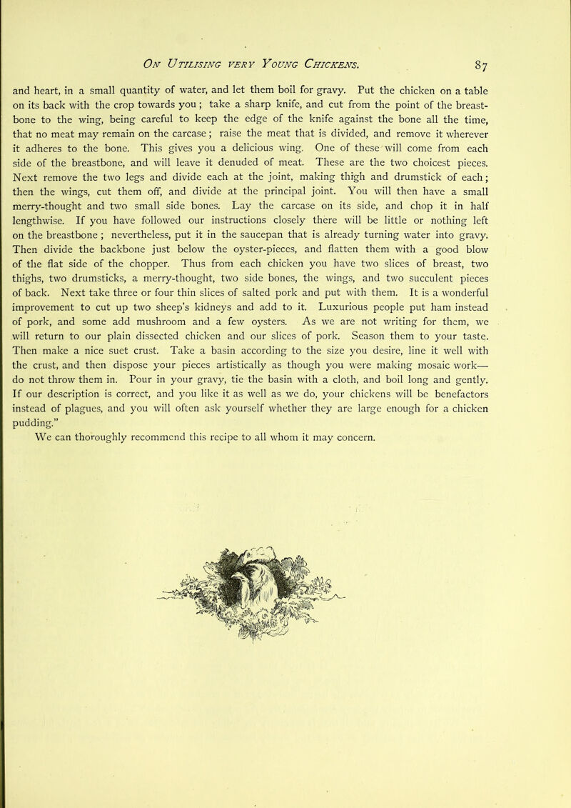 and heart, in a small quantity of water, and let them boil for gravy. Put the chicken on a table on its back with the crop towards you ; take a sharp knife, and cut from the point of the breast- bone to the wing, being careful to keep the edge of the knife against the bone all the time, that no meat may remain on the carcase ; raise the meat that is divided, and remove it wherever it adheres to the bone. This gives you a delicious wing. One of these will come from each side of the breastbone, and will leave it denuded of meat. These are the two choicest pieces. Next remove the two legs and divide each at the joint, making thigh and drumstick of each; then the wings, cut them off, and divide at the principal joint. You will then have a small merry-thought and two small side bones. Lay the carcase on its side, and chop it in half lengthwise. If you have followed our instructions closely there will be little or nothing left on the breastbone ; nevertheless, put it in the saucepan that is already turning water into gravy. Then divide the backbone just below the oyster-pieces, and flatten them with a good blow of the flat side of the chopper. Thus from each chicken you have two slices of breast, two thighs, two drumsticks, a merry-thought, two side bones, the wings, and two succulent pieces of back. Next take three or four thin slices of salted pork and put with them. It is a wonderful improvement to cut up two sheep’s kidneys and add to it. Luxurious people put ham instead of pork, and some add mushroom and a few oysters. As we are not writing for them, we will return to our plain dissected chicken and our slices of pork. Season them to your tastQ. Then make a nice suet crust. Take a basin according to the size you desire, line it well with the crust, and then dispose your pieces artistically as though you were making mosaic work— do not throw them in. Pour in your gravy, tie the basin with a cloth, and boil long and gently. If our description is correct, and you like it as well as we do, your chickens will be benefactors instead of plagues, and you will often ask yourself whether they are large enough for a chicken pudding.” We can thoroughly recommend this recipe to all whom it may concern.