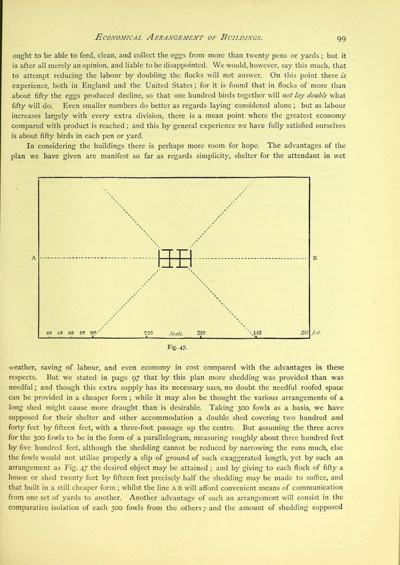 Economical Arrangement of Buildings. ought to be able to feed, clean, and collect the eggs from more than twenty pens or yards ; but it is after all merely an opinion, and liable to be disappointed. We would, however, say this much, that to attempt reducing the labour by doubling the flocks will not answer. On this point there is experience, both in England and the United States; for it is found that in flocks of more than about fifty the eggs produced decline, so that one hundred birds together will not lay double what fifty will do. Even smaller numbers do better as regards laying considered alone ; but as labour increases largely with every extra division, there is a mean point where the greatest economy compared with product is reached; and this by general experience we have fully satisfied ourselves is about fifty birds in each pen or yard. In considering the buildings there is perhaps more room for hope. The advantages of the plan we have given are manifest so far as regards simplicity, shelter for the attendant in wet weather, saving of labour, and even economy in cost compared with the advantages in these re.spects. But we stated in page 97 that by this plan more shedding was provided than was needful; and though this extra supply has its necessary uses, no doubt the needful roofed spaoe can be provided in a cheaper form ; while it may also be thought the various arrangements of a long shed might cause more draught than is desirable. Taking 300 fowls as a basis, we have supposed for their shelter and other accommodation a double shed covering two hundred and forty feet by fifteen feet, with a three-foot passage up the centre. But assuming the three acres for the 300 fowls to be in the form of a parallelogram, measuring roughly about three hundred feet by five hundred feet, although the shedding cannot be reduced by narrowing the runs much, else the fowls would not utilise properly a slip of ground of such exaggerated length, yet by such an arrangement as Fig. 47 the desired object may be attained ; and by giving to each flock of fifty a house or .shed twenty feet by fifteen feet precisely half the shedding may be made to suffice, and that built in a still cheaper form ; whilst the line A B will afford convenient means of communication from one set of yards to another. Another advantage of such an arrangement will consist in the comparativ'e isolation of each 300 fowls from the others 7 and the amount of shedding supposed