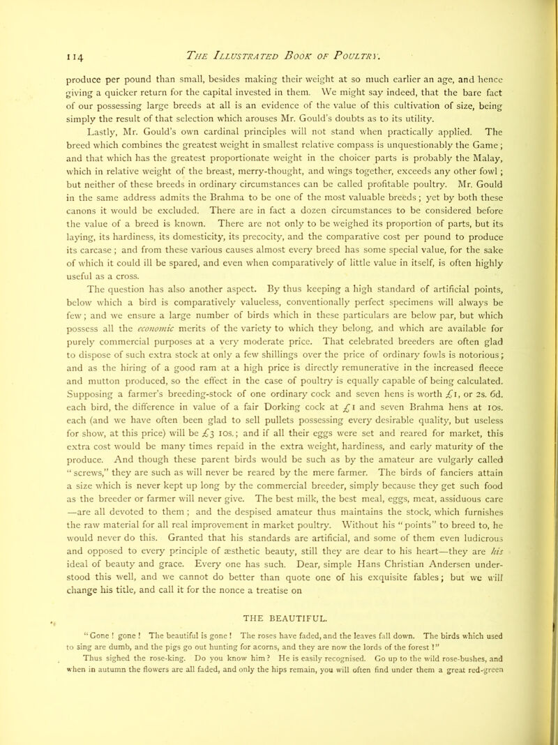 produce per pound than small, besides making their weight at so much earlier an age, and hence giving a quicker return for the capital invested in them. We might say indeed, that the bare fact of our possessing large breeds at all is an evidence of the value of this cultivation of size, being simply the result of that selection which arouses Mr. Gould’s doubts as to its utility. Lastly, Mr. Gould’s own cardinal principles will not stand when practically applied. The breed which combines the greatest weight in smallest relative compass is unquestionably the Game ; and that which has the greatest proportionate weight in the choicer parts is probably the Malay, which in relative weight of the breast, merry-thought, and wings together, exceeds any other fowl ; but neither of these breeds in ordinary circumstances can be called profitable poultry. Mr. Gould in the same address admits the Brahma to be one of the most valuable breeds; yet by both these canons it would be excluded. There are in fact a dozen circumstances to be considered before the value of a breed is known. There are not only to be weighed its proportion of parts, but its laying, its hardiness, its domesticity, its precocity, and the comparative cost per pound to produce its carcase ; and from these various causes almost every breed has some special value, for the sake of which it could ill be spared, and even when comparatively of little value in itself, is often highly useful as a cross. The question has also another aspect. By thus keeping a high standard of artificial points, below which a bird is comparatively valueless, conventionally perfect specimens will always be few; and we ensure a large number of birds which in these particulars are below par, but which possess all the economic merits of the variety to which they belong, and which are available for purely commercial purposes at a very moderate price. That celebrated breeders are often glad to dispose of such extra stock at only a few shillings over the price of ordinary fowls is notorious; and as the hiring of a good ram at a high price is directly remunerative in the increased fleece and mutton produced, so the effect in the case of poultry is equally capable of being calculated. Supposing a farmer’s breeding-stock of one ordinary cock and seven hens is worth .^i, or 2s. 6d. each bird, the difference in value of a fair Dorking cock at £ i and seven Brahma hens at los. each (and we have often been glad to sell pullets possessing every desirable quality, but useless for show, at this price) will be £^ los.; and if all their eggs were set and reared for market, this extra cost would be many times repaid in the extra weight, hardiness, and early maturity of the produce. And though these parent birds would be such as by the amateur are vulgarly called “ screws,” they are such as will never be reared by the mere farmer. The birds of fanciers attain a size which is never kept up long by the commercial breeder, simply because they get such food as the breeder or farmer will never give. The best milk, the best meal, eggs, meat, assiduous care —are all devoted to them ; and the despised amateur thus maintains the stock, which furnishes the raw material for all real improvement in market poultry. Without his “points” to breed to, he would never do this. Granted that his standards are artificial, and some of them even ludicrous and opposed to every principle of aesthetic beauty, still they are dear to his heart—they are his ideal of beauty and grace. Every one has such. Dear, simple Hans Christian Andersen under- stood this well, and we cannot do better than quote one of his exquisite fables; but we will change his title, and call it for the nonce a treatise on THE BEAUTIFUL. “ Gone ! gone ! The beautiful is gone ! The roses have faded, and the leaves fall down. The birds which used to sing are dumb, and the pigs go out hunting for acorns, and they are now the lords of the forest ! ” Thus sighed the rose-king. Do you know him? He is easily recognised. Go up to the wild rose-bushes, and when in autumn the flowers are all faded, and only the hips remain, you will often find under them a great red-green