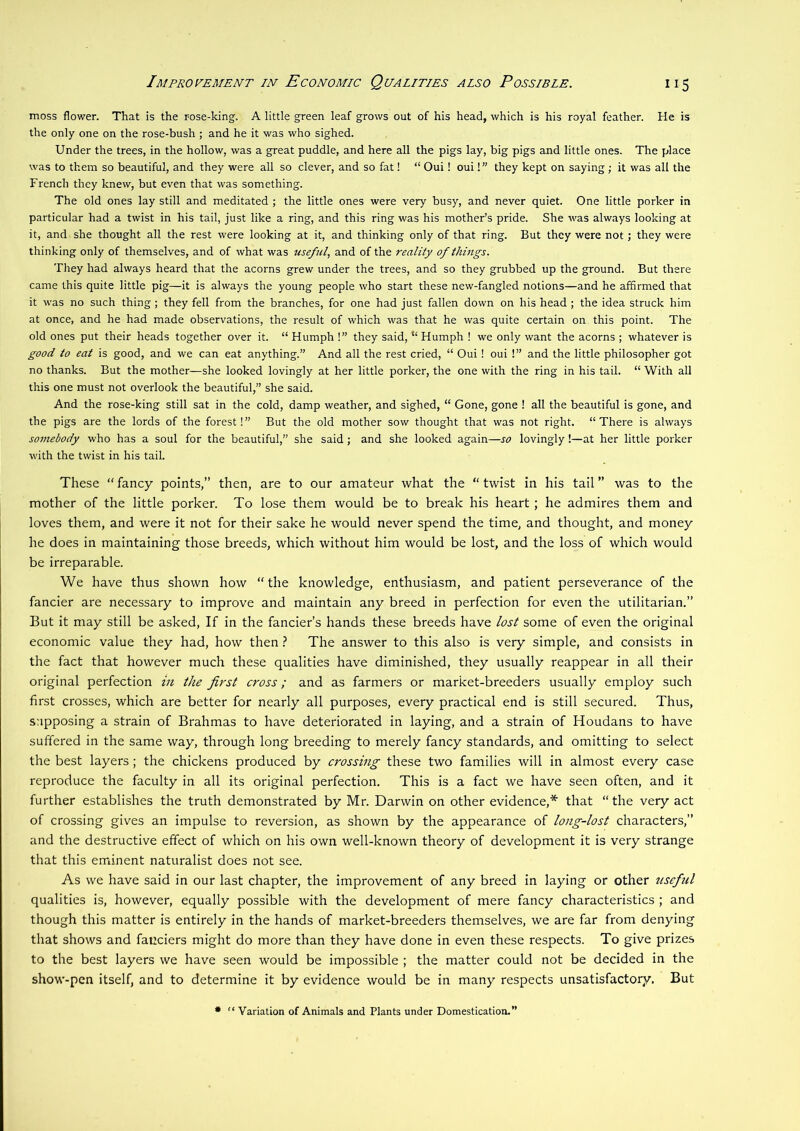 moss flower. That is the rose-king. A little green leaf grows out of his head, which is his royal feather. He is the only one on the rose-bush ; and he it was who sighed. Under the trees, in the hollow, was a great puddle, and here all the pigs lay, big pigs and little ones. The place was to them so beautiful, and they were all so clever, and so fat! “ Oui! oui I” they kept on saying ; it was all the French they knew, but even that was something. The old ones lay still and meditated ; the little ones were very busy, and never quiet. One little porker in particular had a twist in his tail, just like a ring, and this ring was his mother’s pride. She was always looking at it, and she thought all the rest were looking at it, and thinking only of that ring. But they were not; they were thinking only of themselves, and of what was useful, and of the reality of things. They had always heard that the acorns grew under the trees, and so they grubbed up the ground. But there came this quite little pig—it is always the young people who start these new-fangled notions—and he affirmed that it was no such thing ; they fell from the branches, for one had just fallen down on his head ; the idea struck him at once, and he had made observations, the result of which was that he was quite certain on this point. The old ones put their heads together over it. “ Humph !” they said, “ Humph ! we only want the acorns ; whatever is good to eat is good, and we can eat anything.” And all the rest cried, “ Oui ! oui !” and the little philosopher got no thanks. But the mother—she looked lovingly at her little porker, the one with the ring in his tail. “ With all this one must not overlook the beautiful,” she said. And the rose-king still sat in the cold, damp weather, and sighed, “ Gone, gone ! all the beautiful is gone, and the pigs are the lords of the forest!” But the old mother sow thought that was not right. “There is always somebody who has a soul for the beautiful,” she said; and she looked again—so lovingly!—at her little porker with the twist in his tail. These “ fancy points,” then, are to our amateur what the “ twist in his tail ” was to the mother of the little porker. To lose them would be to break his heart; he admires them and loves them, and were it not for their sake he would never spend the time, and thought, and money he does in maintaining those breeds, which without him would be lost, and the loss of which would be irreparable. We have thus shown how “ the knowledge, enthusiasm, and patient perseverance of the fancier are necessary to improve and maintain any breed in perfection for even the utilitarian.” But it may still be asked. If in the fancier’s hands these breeds have lost some of even the original economic value they had, how then ? The answer to this also is very simple, and consists in the fact that however much these qualities have diminished, they usually reappear in all their original perfection m the first cross; and as farmers or market-breeders usually employ such first crosses, which are better for nearly all purposes, every practical end is still secured. Thus, supposing a strain of Brahmas to have deteriorated in laying, and a strain of Houdans to have suffered in the same way, through long breeding to merely fancy standards, and omitting to select the best layers; the chickens produced by crossing these two families will in almost every case reproduce the faculty in all its original perfection. This is a fact we have seen often, and it further establishes the truth demonstrated by Mr. Darwin on other evidence,* that “the very act of crossing gives an impulse to reversion, as shown by the appearance of long-lost characters,” and the destructive effect of which on his own well-known theory of development it is very strange that this eminent naturalist does not see. As we have said in our last chapter, the improvement of any breed in laying or other useful qualities is, however, equally possible with the development of mere fancy characteristics ; and though this matter is entirely in the hands of market-breeders themselves, we are far from denying that shows and fanciers might do more than they have done in even these respects. To give prizes to the best layers we have seen would be impossible ; the matter could not be decided in the show-pen itself, and to determine it by evidence would be in many respects unsatisfactory. But • “ Variation of Animals and Plants under Domestication.