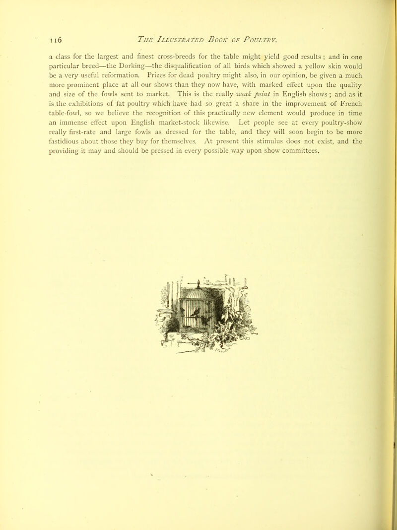 a class for the largest and finest cross-breeds for the table might yield good results ; and in one particular breed—the Dorking—the disqualification of all birds which showed a yellow skin would be a very useful reformation. Prizes for dead poultry might also, in our opinion, be given a much more prominent place at all our shows than they now have, with marked effect upon the quality and size of the fowls sent to market. This is the really ivcak point in English shows ; and as it is the exhibitions of fat poultry which have had so great a share in the improvement of French table-fowl, so we believe the recognition of this practically new element would produce in time an immense effect upon English market-stock likewise. Let people see at every poultry-show really first-rate and large fowls as dressed for the table, and they will soon begin to be more fastidious about those they buy for themselves. At present this stimulus does not exist, and the providing it may and should be pressed in every possible way upon show committees.