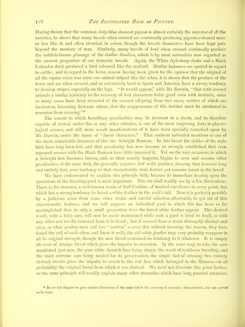Having shown that the common slaty-blue dovecot pigeon is almost certainly the ancestor of all the varieties, he shows that many breeds when crossed are continually producing pigeons coloured more or less like it, and often identical in colour, though the breeds themselves have been kept pure beyond the memory of man. Similarly, many breeds of fowl when crossed continually produce the reddish-brown plumage of the Gallus Bankiva, which is by most naturalists now regarded as the ancient progenitor of our domestic breeds. Again, the White Aylesbury drake and a Black Labrador duck produced a bird coloured like the mallard. Similar instances are quoted in regard to cattle; and in regard to the horse, reason having been given for the opinion that the original of all the equine races was some one animal striped like the zebra, it is shown that the produce of the horse and ass when crossed, and so extensively bred in Spain and America, have a strong tendency to develop stripes, especially on the legs. “ It would appear,” adds Mr. Darwin, “ that with crossed animals a similar tendency to the recovery of lost characters holds good even with instincts, since so many cases have been recorded of the crossed offspring from two races, neither of which are incubators, becoming first-rate sitters, that the reappearance of this instinct must be attributed to reversion from crossing.”* The extent to which hereditary peculiarities may lie dormant in a strain, and be therefore capable of revival under this or any other stimulus, is one of the most surprising facts in physio- logical science, and still more occult manifestations of it have been specially remarked upon by Mr. Darwin, under the name of “ latent characters.” That eminent naturalist mentions as one of the most remarkable instances of this the Sebright Bantam. In this breed the sickles of the male bird have long been lost, and that peculiarity has now become so strongly established that even repeated crosses with the Black Bantam have little impaired it. Yet on the rare occasions in which a Sebright hen becomes barren, and, as then usually happens, begins to crow and assume other peculiarities of the male bird, she generally acquires full sickle feathers, showing that however long and entirely lost, some tendency to that characteristic male feature yet remains latent in the breed. We have endeavoured to explain this principle fully, because its immediate bearing upon the operations of the breeding-yard is most important. This we shall readily see by a few illustrations. There is, for instance, a well-known strain of Buff Cochins, of marked excellence in every point, but which has a.strong tendency to breed a white feather in the cock’s tail. Now it is perfectly possible by a judicious cross from some other strain, and careful selection afterwards, to get rid of this objectionable feature; and we will suppose an individual yard in which this has been so far accomplished that in only a small proportion does the hated white feather appear. This desired result, with a little care, will now be easily maintained while such a yard is bred to itself, or with any other not too far removed from it in blood ; but if crossed from a strain thoroughly distinct and alien, or what poultry-men call too “sudden” a cross (for without knowing the reason, they have found the evil of such often, and know it well), the old white feather may very probably reappear in all its original strength, though the new blood contained no tendency to it whatever. It is simply the cross of strange blood which gives the impulse to reversion. In the same way, to take the case mentioned just now, the pure white Spanish face being simply the result of assiduous breeding, and the most extreme care being needed for its preservation, the simple fact of crossing two entirely distinct strains gives the impulse to revert to the red face which belonged to the Minorca—in all probability the original breed from which it was derived. We need not illustrate this point further, as tne same principle will readily explain many other anomalies which have long puzzled amateurs. * In our last chapter we gave another illustration of the same fact in the recovery of economic characteristics, but not carried so far back.