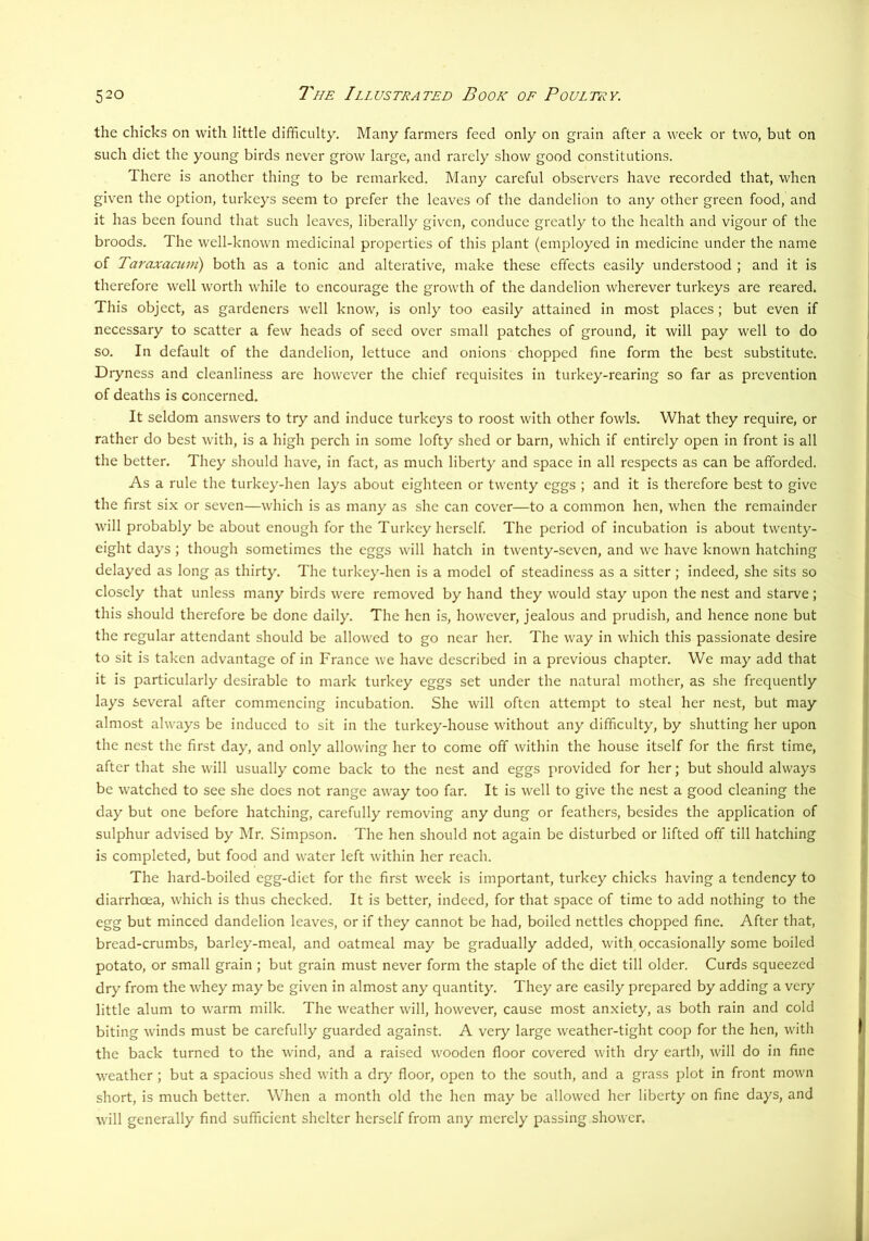 the chicks on with little difficulty. Many farmers feed only on grain after a week or two, but on such diet the young birds never grow large, and rarely show good constitutions. There is another thing to be remarked. Many careful observers have recorded that, when given the option, turkeys seem to prefer the leaves of the dandelion to any other green food, and it has been found that such leaves, liberally given, conduce greatly to the health and vigour of the broods. The well-known medicinal properties of this plant (employed in medicine under the name of Taraxacum) both as a tonic and alterative, make these effects easily understood ; and it is therefore well worth while to encourage the growth of the dandelion wherever turkeys are reared. This object, as gardeners well know, is only too easily attained in most places; but even if necessary to scatter a few heads of seed over small patches of ground, it will pay well to do so. In default of the dandelion, lettuce and onions chopped fine form the best substitute. Dryness and cleanliness are however the chief requisites in turkey-rearing so far as prevention of deaths is concerned. It seldom answers to try and induce turkeys to roost with other fowls. What they require, or rather do best with, is a high perch in some lofty shed or barn, which if entirely open in front is all the better. They should have, in fact, as much liberty and space in all respects as can be afforded. As a rule the turkey-hen lays about eighteen or twenty eggs ; and it is therefore best to give the first six or seven—which is as many as she can cover—to a common hen, when the remainder will probably be about enough for the Turkey herself. The period of incubation is about twenty- eight days; though sometimes the eggs will hatch in twenty-seven, and we have known hatching delayed as long as thirty. The turkey-hen is a model of steadiness as a sitter ; indeed, she sits so closely that unless many birds were removed by hand they would stay upon the nest and starve ; this should therefore be done daily. The hen is, however, jealous and prudish, and hence none but the regular attendant should be allowed to go near her. The way in which this passionate desire to sit is taken advantage of in France we have described in a previous chapter. We may add that it is particularly desirable to mark turkey eggs set under the natural mother, as she frequently lays several after commencing incubation. She will often attempt to steal her nest, but may almost always be induced to sit in the turkey-house without any difficulty, by shutting her upon the nest the first day, and only allowing her to come off within the house itself for the first time, after that she will usually come back to the nest and eggs provided for her; but should always be watched to see she does not range away too far. It is well to give the nest a good cleaning the day but one before hatching, carefully removing any dung or feathers, besides the application of sulphur advised by Mr. Simpson. The hen should not again be disturbed or lifted off till hatching is completed, but food and water left within her reach. The hard-boiled egg-diet for the first week is important, turkey chicks having a tendency to diarrhoea, which is thus checked. It is better, indeed, for that space of time to add nothing to the egg but minced dandelion leaves, or if they cannot be had, boiled nettles chopped fine. After that, bread-crumbs, barley-meal, and oatmeal may be gradually added, with occasionally some boiled potato, or small grain ; but grain must never form the staple of the diet till older. Curds squeezed dry from the whey may be given in almost any quantity. They are easily prepared by adding a very little alum to warm milk. The weather will, however, cause most anxiety, as both rain and cold biting winds must be carefully guarded against. A very large weather-tight coop for the hen, with the back turned to the wind, and a raised wooden floor covered with dry earth, will do in fine weather ; but a spacious shed with a dry floor, open to the south, and a grass plot in front mown short, is much better. When a month old the hen may be allowed her liberty on fine days, and will generally find sufficient shelter herself from any merely passing shower.