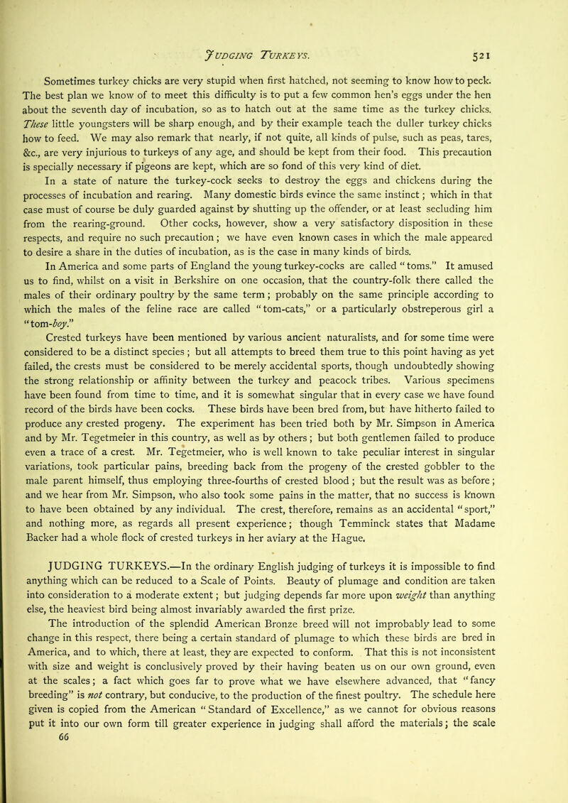 Sometimes turkey chicks are very stupid when first hatched, not seeming to know how to peck. The best plan we know of to meet this difficulty is to put a few common hen’s eggs under the hen about the seventh day of incubation, so as to hatch out at the same time as the turkey chicks. These little youngsters will be sharp enough, and by their example teach the duller turkey chicks how to feed. We may also remark that nearly, if not quite, all kinds of pulse, such as peas, tares, &c., are very injurious to turkeys of any age, and should be kept from their food. This precaution is specially necessary if pigeons are kept, which are so fond of this very kind of diet. In a state of nature the turkey-cock seeks to destroy the eggs and chickens during the processes of incubation and rearing. Many domestic birds evince the same instinct; which in that case must of course be duly guarded against by shutting up the offender, or at least secluding him from the rearing-ground. Other cocks, however, show a very satisfactory disposition in these respects, and require no such precaution; we have even known cases in which the male appeared to desire a share in the duties of incubation, as is the case in many kinds of birds. In America and some parts of England the young turkey-cocks are called “ toms.” It amused us to find, whilst on a visit in Berkshire on one occasion, that the country-folk there called the males of their ordinary poultry by the same term; probably on the same principle according to which the males of the feline race are called “tom-cats,” or a particularly obstreperous girl a ''tom-boy r Crested turkeys have been mentioned by various ancient naturalists, and for some time were considered to be a distinct species ; but all attempts to breed them true to this point having as yet failed, the crests must be considered to be merely accidental sports, though undoubtedly showing the strong relationship or affinity between the turkey and peacock tribes. Various specimens have been found from time to time, and it is somewhat singular that in every case we have found record of the birds have been cocks. These birds have been bred from, but have hitherto failed to produce any crested progeny. The experiment has been tried both by Mr. Simpson in America and by Mr. Tegetmeier in this country, as well as by others; but both gentlemen failed to produce even a trace of a crest. Mr. Tegetmeier, who is well known to take peculiar interest in singular variations, took particular pains, breeding back from the progeny of the crested gobbler to the male parent himself, thus employing three-fourths of crested blood ; but the result was as before ; and we hear from Mr. Simpson, who also took some pains in the matter, that no success is known to have been obtained by any individual. The crest, therefore, remains as an accidental “ sport,” and nothing more, as regards all present experience; though Temminck states that Madame Backer had a whole flock of crested turkeys in her aviary at the Hague. JUDGING TURKEYS.—In the ordinary English judging of turkeys it is impossible to find anything which can be reduced to a Scale of Points. Beauty of plumage and condition are taken into consideration to a moderate extent; but judging depends far more upon weight than anything else, the heaviest bird being almost invariably awarded the first prize. The introduction of the splendid American Bronze breed will not improbably lead to some change in this respect, there being a certain standard of plumage to which these birds are bred in America, and to which, there at least, they are expected to conform. That this is not inconsistent with size and weight is conclusively proved by their having beaten us on our own ground, even at the scales; a fact which goes far to prove what we have elsewhere advanced, that “ fancy breeding” is not contrary, but conducive, to the production of the finest poultry. The schedule here given is copied from the American “ Standard of Excellence,” as we cannot for obvious reasons put it into our own form till greater experience in judging shall afford the materials; the scale 66