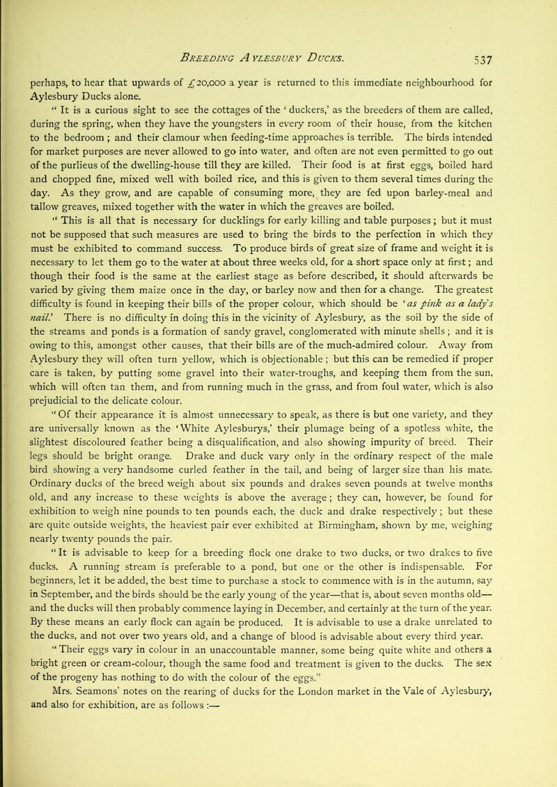 Breeding A ylesbury Ducks. perhaps, to hear that upwards of ;^20,ooo a year is returned to this immediate neighbourhood for Aylesbury Ducks alone. “ It is a curious sight to see the cottages of the ‘ duckers,’ as the breeders of them are called, during the spring, when they have the youngsters in every room of their house, from the kitchen to the bedroom ; and their clamour when feeding-time approaches is terrible. The birds intended for market purposes are never allowed to go into water, and often are not even permitted to go out of the purlieus of the dwelling-house till they are killed. Their food is at first eggs, boiled hard and chopped fine, mixed well with boiled rice, and this is given to them several times during the day. As they grow, and are capable of consuming more, they are fed upon barley-meal and tallow greaves, mixed together with the water in which the greaves are boiled. “ This is all that is necessary for ducklings for early killing and table purposes ; but it must not be supposed that such measures are used to bring the birds to the perfection in which they must be exhibited to command success. To produce birds of great size of frame and weight it is necessary to let them go to the water at about three weeks old, for a short space only at first; and though their food is the same at the earliest stage as before described, it should afterwards be varied by giving them maize once in the day, or barley now and then for a change. The greatest difficulty is found in keeping their bills of the proper colour, which should be ‘ as pink as a lady's naill There is no difficulty in doing this in the vicinity of Aylesbury, as the soil by the side of the streams and ponds is a formation of sandy gravel, conglomerated with minute shells; and it is owing to this, amongst other causes, that their bills are of the much-admired colour. Away from Aylesbury they will often turn yellow, which is objectionable ; but this can be remedied if proper care is taken, by putting some gravel into their water-troughs, and keeping them from the sun, which will often tan them, and from running much in the grass, and from foul water, which is also prejudicial to the delicate colour. “ Of their appearance it is almost unnecessary to speak, as there is but one variety, and they are universally known as the ‘White Aylesburys,’ their plumage being of a spotless white, the slightest discoloured feather being a disqualification, and also showing impurity of breed. Their legs should be bright orange. Drake and duck vary only in the ordinary respect of the male bird showing a very handsome curled feather in the tail, and being of larger size than his mate. Ordinary ducks of the breed weigh about six pounds and drakes seven pounds at twelve months old, and any increase to these weights is above the average; they can, however, be found for exhibition to weigh nine pounds to ten pounds each, the duck and drake respectively; but these are quite outside weights, the heaviest pair ever exhibited at Birmingham, shown by me, weighing nearly twenty pounds the pair. “It is advisable to keep for a breeding flock one drake to two ducks, or two drakes to five ducks. A running stream is preferable to a pond, but one or the other is indispensable. For beginners, let it be added, the best time to purchase a stock to commence with is in the autumn, say in September, and the birds should be the early young of the year—that is, about seven months old— and the ducks will then probably commence laying in December, and certainly at the turn of the year. By these means an early flock can again be produced. It is advisable to use a drake unrelated to the ducks, and not over two years old, and a change of blood is advisable about every third year. “ Their eggs vary in colour in an unaccountable manner, some being quite white and others a bright green or cream-colour, though the same food and treatment is given to the ducks. The sex of the progeny has nothing to do with the colour of the eggs.” Mrs. Seamons’ notes on the rearing of ducks for the London market in the Vale of Aylesbury, and also for exhibition, are as follows :—
