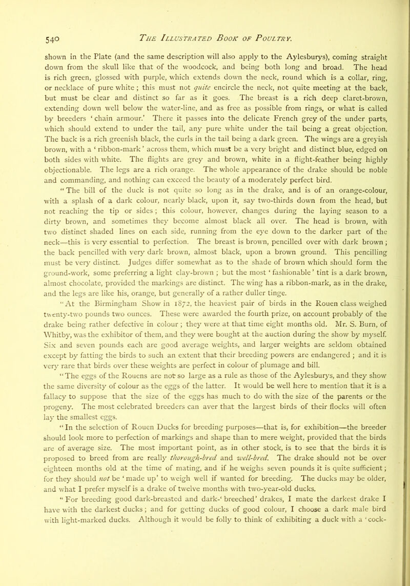 shown in the Plate (and the same description will also apply to the Aylesburys), coming straight down from the skull like that of the woodcock, and being both long and broad. The head is rich green, glossed with purple, which extends down the neck, round which is a collar, ring, or necklace of pure white ; this must not quite encircle the neck, not quite meeting at the back, but must be clear and distinct so far as it goes. The breast is a rich deep claret-brown, extending down well below the water-line, and as free as possible from rings, or what is called by breeders ‘ chain armour.’ There it passes into the delicate French grey of the under parts, which should extend to under the tail, any pure white under the tail being a great objection. The back is a rich greenish black, the curls in the tail being a dark green. The wings are a greyish brown, with a ‘ ribbon-mark ’ across them, which must be a very bright and distinct blue, edged on both sides with white. The flights are grey and brown, white in a flight-feather being highly objectionable. The legs are a rich orange. The whole appearance of the drake should be noble and commanding, and nothing can exceed the beauty of a moderately perfect bird. “ The bill of the duck is not quite so long as in the drake, and is of an orange-colour, with a splash of a dark colour, nearly black, upon it, say two-thirds down from the head, but not reaching the tip or sides ; this colour, however, changes during the laying season to a dirty brown, and sometimes they become almost black all over. The head is brown, with two distinct shaded lines on each side, running from the eye down to the darker part of the neck—this is very essential to perfection. The breast is brown, pencilled over with dark brown ; the back pencilled with very dark brown, almost black, upon a brown ground. This pencilling must be very distinct. Judges differ somewhat as to the shade of brown which should form the ground-work, some preferring a light clay-brown ; but the most ‘ fashionable ’ tint is a dark brown, almost chocolate, provided the markings are distinct. The wing has a ribbon-mark, as in the drake, and the legs are like his, orange, but generally of a rather duller tinge. “At the Birmingham Show in 1872, the heaviest pair of birds in the Rouen class weighed twenty-two pounds two ounces. These were awarded the fourth prize, on account probably of the drake being rather defective in colour ; they were at that time eight months old. Mr. S. Burn, of Whitby, was the exhibitor of them, and they were bought at the auction during the show by myself. Six and seven pounds each are good average weights, and larger weights are seldom obtained except by fatting the birds to such an extent that their breeding powers are endangered ; and it is very rare that birds over these weights are perfect in colour of plumage and bill. “ The eggs of the Rouens are not so large as a rule as those of the Aylesburys, and they show the same diversity of colour as the eggs of the latter. It would be well here to mention that it is a fallacy to suppose that the size of the eggs has much to do with the size of the parents or the progeny. The most celebrated breeders can aver that the largest birds of their flocks will often lay the smallest eggs. “ In the selection of Rouen Ducks for breeding purposes—that is, for exhibition—the breeder should look more to perfection of markings and shape than to mere weight, provided that the birds are of average size. The most important point, as in other stock, is to see that the birds it is proposed to breed from are really thorough-bred and well-bred. The drake should not be over eighteen months old at the time of mating, and if he weighs seven pounds it is quite sufficient; for they should not be ‘ made up’ to weigh well if wanted for breeding. The ducks may be older, and what I prefer myself is a drake of twelve months with two-year-old ducks, “ For breeding good dark-breasted and dark-' breeched’ drakes, I mate the darkest drake I have with the darkest ducks; and for getting ducks of good colour, I choose a dark male bird with light-marked ducks. Although it would be folly to think of exhibiting a duck with a ‘ cock-