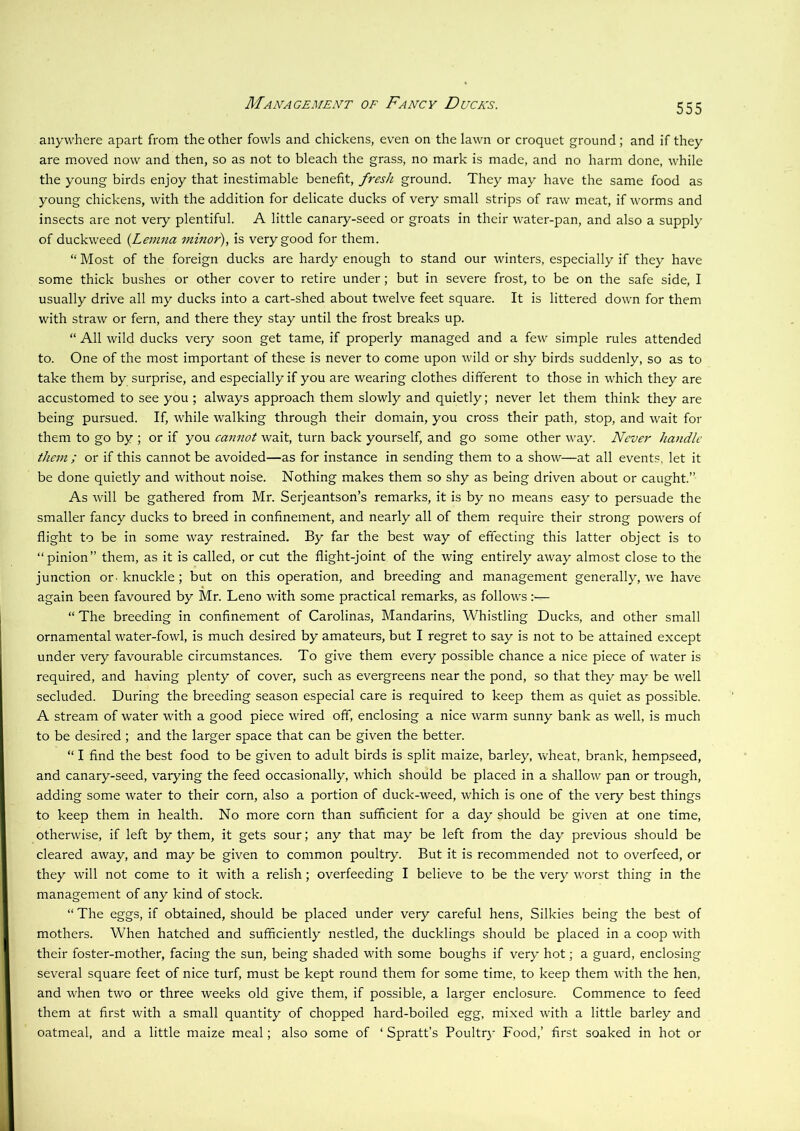 Management of Fancy Ducks. anywhere apart from the other fowls and chickens, even on the lawn or croquet ground; and if they are moved now and then, so as not to bleach the grass, no mark is made, and no harm done, while the young birds enjoy that inestimable benefit, fresh ground. They may have the same food as young chickens, with the addition for delicate ducks of very small strips of raw meat, if worms and insects are not very plentiful. A little canary-seed or groats in their water-pan, and also a supply of duckweed {Lemna minor), is very good for them. “ Most of the foreign ducks are hardy enough to stand our winters, especially if they have some thick bushes or other cover to retire under; but in severe frost, to be on the safe side, I usually drive all my ducks into a cart-shed about twelve feet square. It is littered down for them with straw or fern, and there they stay until the frost breaks up. “ All wild ducks very soon get tame, if properly managed and a few simple rules attended to. One of the most important of these is never to come upon wild or shy birds suddenly, so as to take them by surprise, and especially if you are wearing clothes different to those in which they are accustomed to see you ; always approach them slowly and quietly; never let them think they are being pursued. If, while walking through their domain, you cross their path, stop, and wait for them to go by ; or if you ca7inot wait, turn back yourself, and go some other way. Never handle them ; or if this cannot be avoided—as for instance in sending them to a show—at all events, let it be done quietly and without noise. Nothing makes them so shy as being driven about or caught.” As will be gathered from Mr. Serjeantson’s remarks, it is by no means easy to persuade the smaller fancy ducks to breed in confinement, and nearly all of them require their strong powers of flight to be in some way restrained. By far the best way of effecting this latter object is to “pinion” them, as it is called, or cut the flight-joint of the wing entirely away almost close to the junction or. knuckle; but on this operation, and breeding and management generally, we have again been favoured by Mr. Leno with some practical remarks, as follows “ The breeding in confinement of Carolinas, Mandarins, Whistling Ducks, and other small ornamental water-fowl, is much desired by amateurs, but I regret to say is not to be attained except under very favourable circumstances. To give them every possible chance a nice piece of water is required, and having plenty of cover, such as evergreens near the pond, so that they may be well secluded. During the breeding season especial care is required to keep them as quiet as possible. A stream of water with a good piece wired off, enclosing a nice warm sunny bank as well, is much to be desired ; and the larger space that can be given the better. “ I find the best food to be given to adult birds is split maize, barley, wheat, brank, hempseed, and canary-seed, varying the feed occasionally, which should be placed in a shallow pan or trough, adding some water to their corn, also a portion of duck-weed, which is one of the very best things to keep them in health. No more corn than sufficient for a day should be given at one time, otherwise, if left by them, it gets sour; any that may be left from the day previous should be cleared away, and may be given to common poultry. But it is recommended not to overfeed, or they will not come to it with a relish; overfeeding I believe to be the very worst thing in the management of any kind of stock. “ The eggs, if obtained, should be placed under very careful hens, Silkies being the best of mothers. When hatched and sufficiently nestled, the ducklings should be placed in a coop with their foster-mother, facing the sun, being shaded with some boughs if very hot; a guard, enclosing several square feet of nice turf, must be kept round them for some time, to keep them with the hen, and when two or three weeks old give them, if possible, a larger enclosure. Commence to feed them at first with a small quantity of chopped hard-boiled egg, mixed with a little barley and oatmeal, and a little maize meal; also some of ‘ Spratt’s Poultry Food,’ first soaked in hot or