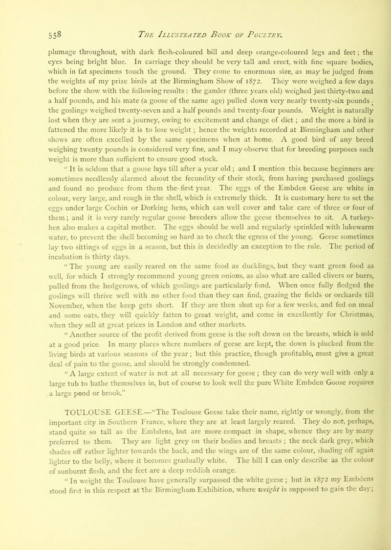 plumage throughout, with dark flesh-coloured bill and deep orange-coloured legs and feet; the eyes being bright blue. In carriage they should be very tall and erect, with fine square bodies, which in fat specimens touch the ground. They come to enormous size, as may be judged from the weights of my prize birds at the Birmingham Show of 1872. They were weighed a few days before the shov/ with the following results : the gander (three years old) weighed just thirty-two and a half pounds, and his mate (a goose of the same age) pulled down very nearly twenty-six pounds • the goslings weighed twenty-seven and a half pounds and twenty-four pounds. Weight is naturally lost when they are sent a journey, owing to excitement and change of diet ; and the more a bird is fattened the more likely it is to lose weight ; hence the weights recorded at Birmingham and other shows are often excelled by the same specimens when at home. A good bird of any breed weighing twenty pounds is considered very fine, and I may observe that for breeding purposes such weight is more than sufficient to ensure good stock. “ It is seldom that a goose lays till after a year old; and I mention this because beginners are sometimes needlessly alarmed about the fecundity of their stock, from having purchased goslings and found no produce from them the ■ first year. The eggs of the Embden Geese are white in colour, very large, and rough in the shell, which is extremely thick. It is customary here to set the eggs under large Cochin or Dorking hens, which can well cover and take care of three or four of them; and it is very rarely regular goose breeders allow the geese themselves to sit. A turkey- hen also makes a capital mother. The eggs should be well and regularly sprinkled with lukewarm water, to prevent the shell becoming so hard as to check the egress of the young. Geese sometimes lay two sittings of eggs in a season, but this is decidedly an exception to the rule. The period of incubation is thirty days. “ The young are easily reared on the same food as ducklings, but they want green food as well, for which I strongly recommend young green onions, as also what are called clivers or burrs, pulled from the hedgerows, of which goslings are particularly fond. When once fully fledged the goslings will thrive well with no other food than they can find, grazing the fields or orchards till November, when the keep gets short. If they are then shut up for a few weeks, and fed on meal and some oats, they will quickly fatten to great weight, and come in excellently for Christmas, when they sell at great prices in London and other markets. “ Another source of the profit derived from geese is the soft down on the breasts, which is sold at a good price. In many places where numbers of geese are kept, the down is plucked from the living birds at various seasons of the year; but this practice, though profitable, must give a great deal of pain to the goose, and should be strongly condemned. “ A large extent of water is not at all necessary for geese ; they can do very well with only a large tub to bathe themselves in, but of course to look well the pure White Embden Goose requires a large pond or brook.” TOULOUSE GEESE.—“The Toulouse Geese take their name, rightly or wrongly, from the important city in Southern France, where they are at least largely reared. They do not, perhaps, stand quite so tall as the Embdens, but are more compact in shape, whence they are by many preferred to them. They are light grey on their bodies and breasts ; the neck dark grey, which shades off rather lighter towards the back, and the wings are of the same colour, shading off again lighter to the belly, where it becomes gradually white. The bill I can only describe as the colour of sunburnt flesh, and the feet are a deep reddish orange. “ In weight the Toulouse have generally surpassed the white geese ; but in 1872 my Embdens stood first in this respect at the Birmingham Exhibition, where weight is supposed to gain the day;