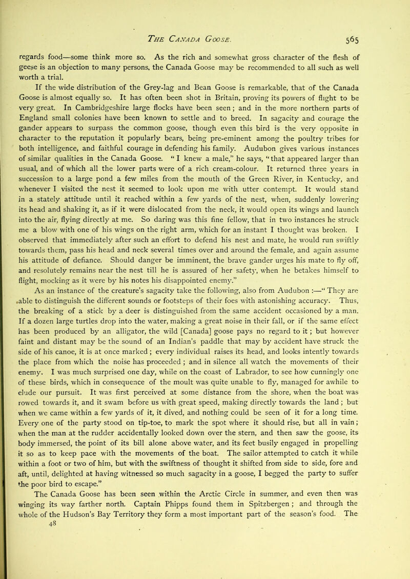 regards food—some think more so. As the rich and somewhat gross character of the flesh of geese is an objection to many persons, the Canada Goose may be recommended to all such as well worth a trial. If the wide distribution of the Grey-lag and Bean Goose is remarkable, that of the Canada Goose is almost equally so. It has often been shot in Britain, proving its powers of flight to be very great. In Cambridgeshire large flocks have been seen; and in the more northern parts of England small colonies have been known to settle and to breed. In sagacity and courage the gander appears to surpass the common goose, though even this bird is the very opposite in character to the reputation it popularly bears, being pre-eminent among the poultry tribes for both intelligence, and faithful courage in defending his family. Audubon gives various instances of similar qualities in the Canada Goose. “ I knew a male,” he says, “that appeared larger than usual, and of which all the lower parts were of a rich cream-colour. It returned three years in succession to a large pond a few miles from the mouth of the Green River, in Kentucky, and whenever I visited the nest it seemed to look upon me with utter contempt. It would stand in a stately attitude until it reached within a few yards of the nest, when, suddenly lowering its head and shaking it, as if it were dislocated from the neck, it would open its wings and launch into the air, flying directly at me. So daring was this fine fellow, that in two instances he struck me a blow with one of his wings on the right arm, which for an instant I thought was broken. I observed that immediately after such an effort to defend his nest and mate, he would run swiftly towards them, pass his head and neck several times over and around the female, and again assume his attitude of defiance. Should danger be imminent, the brave gander urges his mate to fly off, and resolutely remains near the nest till he is assured of her safety, when he betakes himself to flight, mocking as it were by his notes his disappointed enemy.” As an instance of the creature’s sagacity take the following, also from Audubon :—“ They are .able to distinguish the different sounds or footsteps of their foes with astonishing accuracy. Thus, the breaking of a stick by a deer is distingui.shed from the same accident occasioned by a man. If a dozen large turtles drop into the water, making a great noise in their fall, or if the same effect has been produced by an alligator, the wild [Canada] goose pays no regard to it; but however faint and distant may be the sound of an Indian’s paddle that may by accident have struck the side of his canoe, it is at once marked; every individual raises its head, and looks intently towards the place from which the noise has proceeded ; and in silence all watch the movements of their enemy. I was much surprised one day, while on the coast of Labrador, to see how cunningly one of these birds, which in consequence of the moult was quite unable to fly, managed for awhile to elude our pursuit. It was first perceived at some distance from the shore, when the boat was rowed towards it, and it swam before us with great speed, making directly towards the land; but when we came within a few yards of it, it dived, and nothing could be seen of it for a long time. Every one of the party stood on tip-toe, to mark the spot where it should rise, but all in vain; when the man at the rudder accidentally looked down over the stern, and then saw the goose, its body immersed, the point of its bill alone above water, and its feet busily engaged in propelling it so as to keep pace with the movements of the boat. The sailor attempted to catch it while within a foot or two of him, but with the swiftness of thought it shifted from side to side, fore and aft, until, delighted at having witnessed so much sagacity in a goose, I begged the party to suffer the poor bird to escape.” The Canada Goose has been seen within the Arctic Circle in summer, and even then was winging its way farther north. Captain Phipps found them in Spitzbergen ; and through the whole of the Hudson’s Bay Territory they form a most important part of the season’s food. The 48