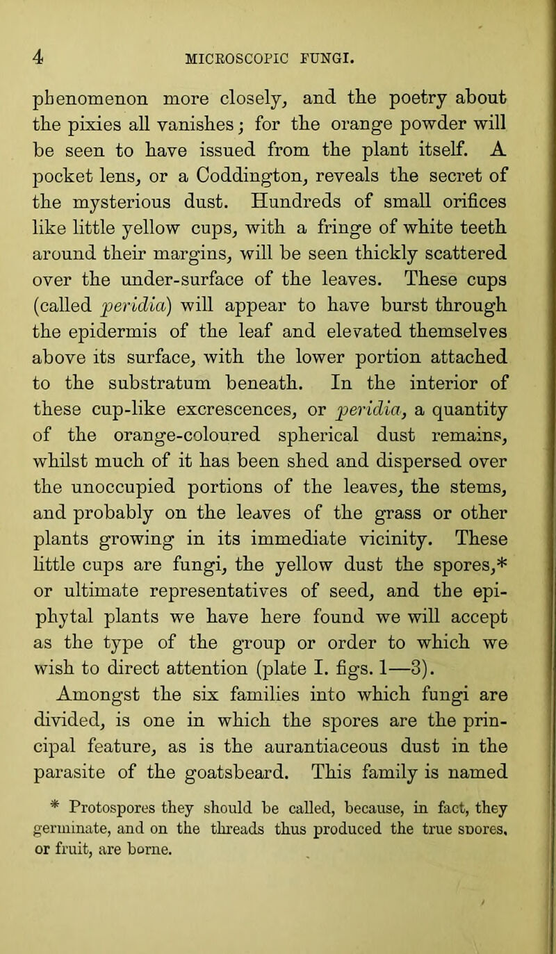 phenomenon more closely, and the poetry about the pixies all vanishes; for the orange powder will he seen to have issued from the plant itself. A pocket lens, or a Coddington, reveals the secret of the mysterious dust. Hundreds of small orifices like little yellow cups, with a fringe of white teeth around their margins, will be seen thickly scattered over the under-surface of the leaves. These cups (called peridia) will appear to have burst through the epidermis of the leaf and elevated themselves above its surface, with the lower portion attached to the substratum beneath. In the interior of these cup-like excrescences, or peridia, a quantity of the orange-coloured spherical dust remains, whilst much of it has been shed and dispersed over the unoccupied portions of the leaves, the stems, and probably on the leaves of the grass or other plants growing in its immediate vicinity. These little cups are fungi, the yellow dust the spores,* or ultimate representatives of seed, and the epi- phytal plants we have here found we will accept as the type of the group or order to which we wish to direct attention (plate I. figs. 1—3). Amongst the six families into which fungi are divided, is one in which the spores are the prin- cipal feature, as is the aurantiaceous dust in the parasite of the goatsbeard. This family is named * Protospores they should he called, because, in fact, they germinate, and on the threads thus produced the true SDores, or fruit, are borne.