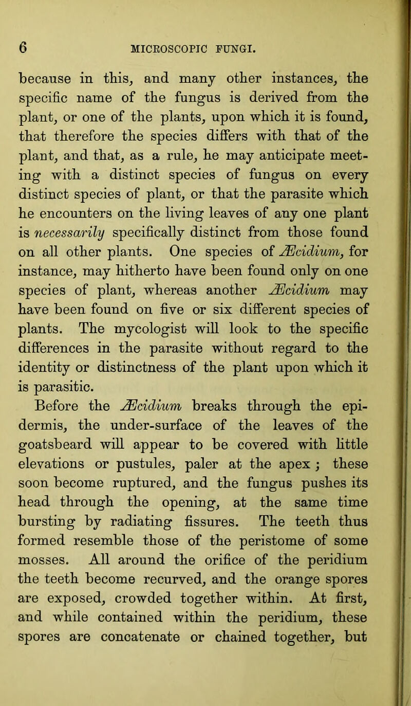 because in this, and many other instances, the specific name of the fungus is derived from the plant, or one of the plants, upon which it is found, that therefore the species differs with that of the plant, and that, as a rule, he may anticipate meet- ing with a distinot species of fungus on every distinct species of plant, or that the parasite which he encounters on the living leaves of any one plant is necessarily specifically distinct from those found on all other plants. One species of Mcidium, for instance, may hitherto have been found only on one species of plant, whereas another JEcidium may have been found on five or six different species of plants. The mycologist will look to the specific differences in the parasite without regard to the identity or distinctness of the plant upon which it is parasitic. Before the JEcidium breaks through the epi- dermis, the under-surface of the leaves of the goatsbeard will appear to be covered with little elevations or pustules, paler at the apex ; these soon become ruptured, and the fungus pushes its head through the opening, at the same time bursting by radiating fissures. The teeth thus formed resemble those of the peristome of some mosses. All around the orifice of the peridium the teeth become recurved, and the orange spores are exposed, crowded together within. At first, and while contained within the peridium, these spores are concatenate or chained together, but