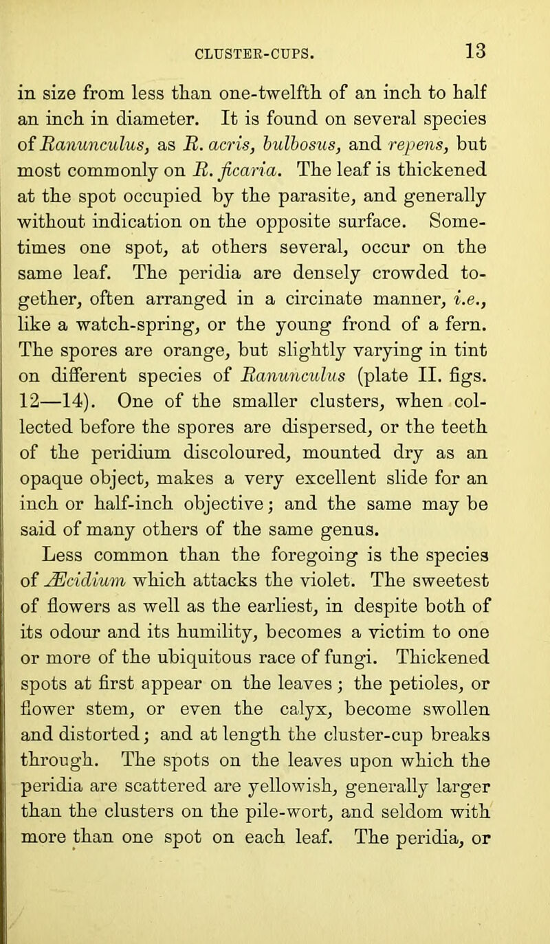 in size from less than one-twelfth of an inch to half an inch in diameter. It is found on several species of Ranunculus, as R. acris, bulbosus, and repens, but most commonly on R. jicaria. The leaf is thickened at the spot occupied by the parasite, and generally without indication on the opposite surface. Some- times one spot, at others several, occur on the same leaf. The peridia are densely crowded to- gether, often arranged in a circinate manner, i.e., like a watch-spring, or the young frond of a fern. The spores are orange, but slightly varying in tint on different species of Ranunculus (plate II. figs. 12—14). One of the smaller clusters, when col- lected before the spores are dispersed, or the teeth of the peridium discoloured, mounted dry as an opaque object, makes a very excellent slide for an inch or half-inch objective; and the same may be said of many others of the same genus. Less common than the foregoing is the species of JEcidimn which attacks the violet. The sweetest of flowers as well as the earliest, in despite both of its odour and its humility, becomes a victim to one or more of the ubiquitous race of fungi. Thickened spots at first appear on the leaves; the petioles, or flower stem, or even the calyx, become swollen and distorted; and at length the cluster-cup breaks through. The spots on the leaves upon which the peridia are scattered are yellowish, generally larger than the clusters on the pile-wort, and seldom with more than one spot on each leaf. The peridia, or