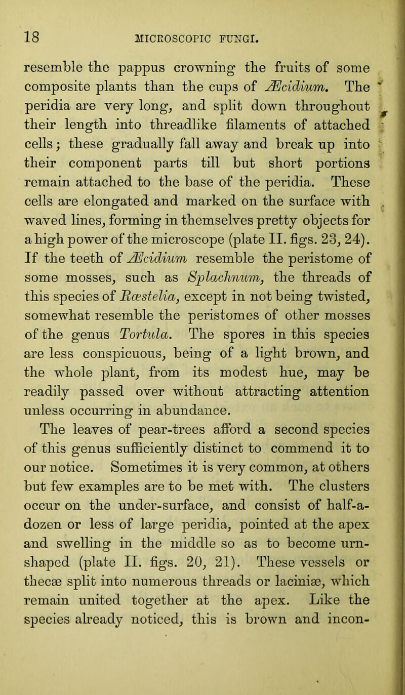 resemble the pappus crowning the fruits of some composite plants tban tbe cups of JEcidium. The peridia are very long, and split down throughout their length into threadlike filaments of attached cells; these gradually fall away and break up into their component parts till but short portions remain attached to the base of the peridia. These cells are elongated and marked on the surface with waved lines, forming in themselves pretty objects for a high power of the microscope (plate II. figs. 23, 24). If the teeth of JEcidium resemble the peristome of some mosses, such as Splachnum, the threads of this species of Rcestelia, except in not being twisted, somewhat resemble the peristomes of other mosses of the genus Tortula. The spores in this species are less conspicuous, being of a light brown, and the whole plant, from its modest hue, may be readily passed over without attracting attention unless occurring in abundance. The leaves of pear-trees afford a second species of this genus sufficiently distinct to commend it to our notice. Sometimes it is very common, at others but few examples are to be met with. The clusters occur on the under-surface, and consist of half-a- dozen or less of large peridia, pointed at the apex and swelling in the middle so as to become urn- shaped (plate II. figs. 20, 21). These vessels or thecae split into numerous threads or laciniae, which remain united together at the apex. Like the species already noticed, this is brown and incon-