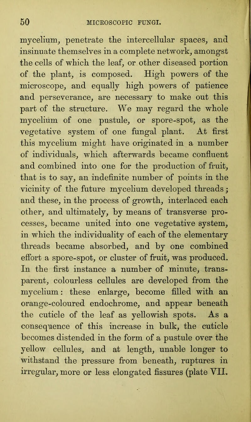 mycelium, penetrate tlie intercellular spaces, and insinuate themselves in a complete network, amongst the cells of which the leaf, or other diseased portion of the plant, is composed. High powers of the microscope, and equally high powers of patience and perseverance, are necessary to make out this part of the structure. We may regard the whole mycelium of one pustule, or spore-spot, as the vegetative system of one fungal plant. At first this mycelium might have originated in a number of individuals, which afterwards became confluent and combined into one for the production of fruit, that is to say, an indefinite number of points in the vicinity of the future mycelium developed threads; and these, in the process of growth, interlaced each other, and ultimately, by means of transverse pro- cesses, became united into one vegetative system, in which the individuality of each of the elementary threads became absorbed, and by one combined effort a spore-spot, or cluster of fruit, was produced. In the first instance a number of minute, trans- parent, colourless cellules are developed from the mycelium: these enlarge, become filled with an orange-coloured endochrome, and appear beneath the cuticle of the leaf as yellowish spots. As a consequence of this increase in bulk, the cuticle becomes distended in the form of a pustule over the yellow cellules, and at length, unable longer to withstand the pressure from beneath, ruptures in irregular, more or less elongated fissures (plate VII.