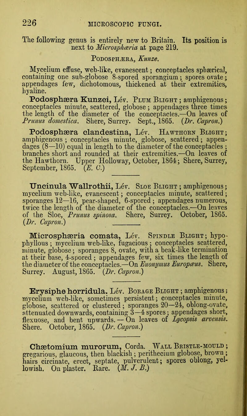 The following genus is entirely new to Britain. Its position is next to Microspliceria at page 219. PoDOSPHiERA, KvMZe. Mycelium effuse, web-like, evanescent; conceptacles sphrerical, containing one sub-globose 8-spored sporangium; spores ovate; appendages few, dichotomous, thickened at their extremities, hyaline. Podosphsera Kunzei, Lev. Plum Blight ; amphigenous; conceptacles minute, scattered, globose; appendages three times the length of the diameter of the conceptacles.—On leaves of Prams domestica. Shere, Surrey. Sept., 1865. (Dr. Capron.) Podosphsera clandestina, Lev. Hawthorn Blight; amphigenous ; conceptacles minute, globose, scattered; appen- dages (8—10) equal in length to the diameter of the conceptacles ; branches short and rounded at their extremities.—On leaves of the Hawthorn. Upper Holloway, October, 1864; Shere, Surrey, September, 1865. (E. C.) Uneinula WaUrothii, Lev. Sloe Blight ; amphigenous; mycelium web-like, evanescent; conceptacles minute, scattered ; sporanges 12—16, pear-shaped, 6-spored ; appendages numerous, twice the length of the diameter of the conceptacles.—On leaves of the Sloe, Prunus spinosa. Shere, Surrey. October, 1865. (Dr. Capron.) _____ Microsphseria eomata, Lev. Spindle Blight; hypo- phyllous ; mycelium web-like, fugacious; conceptacles scattered, minute, globose; sporanges 8, ovate, with a beak-like termination at their base, 4-s pored ; appendages few, six times the length of the diameter of the conceptacles.—On Euonymus Europaus. Shere, Surrey. August, 1865. (Dr. Capron.) Erysiphe horridula. Lev. Borage Blight ; amphigenous; mycelium web-like, sometimes persistent; conceptacles minute, globose, scattered or clustered; sporanges 20—24, oblong-ovate, attenuated downwards, containing 3—4 spores; appendages short, flexuose, and bent upwards. — On leaves of Lycopsis arvensis. Shere. October, 1865. (Dr. Capron.) Chaetomium murorum, Corda. Wall Bristle-mould ; gregarious, glaucous, then blackish ; perithecium globose, brown; hairs circinate, erect, septate, pulverulent; spores oblong, yel- lowish. On plaster. Bare. (M. J. B.)