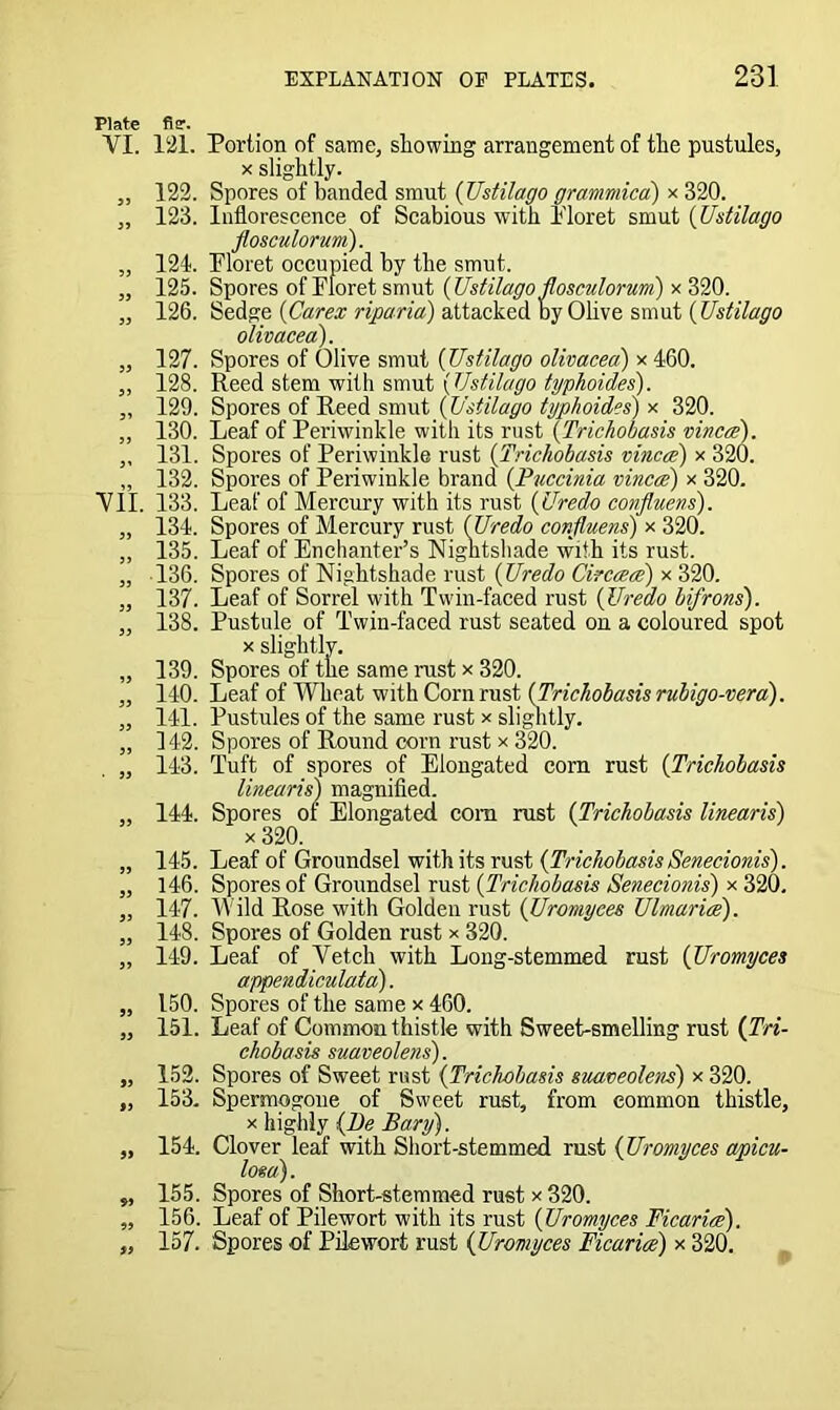 Plate VI. 33 3 9 99 33 33 vii. 33 33 33 33 33 33 33 93 33 93 93 99 99 99 99 fisr. 121. Portion of same, showing arrangement of the pustules, x slightly. 122. Spores of banded smut (Ustilago grammica) x 320. 123. Inflorescence of Scabious with Floret smut (Ustilago flosculorum). 124. Floret occupied by the smut. 125. Spores of Floret smut (Ustilago flosculorum) x 320. 126. Sedge (Carex riparia) attacked by Olive smut (Ustilago olivacea). 127. Spores of Olive smut (Ustilago olivacea) x 460. 128. Reed stem with smut (Ustilago typhoides). 129. Spores of Reed smut (Ustilago typhoides') x 320. 130. Leaf of Periwinkle with its rust (Trichobasis vinca). 131. Spores of Periwinkle rust (Trichobasis vinca) x 320. 132. Spores of Periwinkle brand (Puccinia vinca) x 320. 133. Leaf of Mercury with its rust (Uredo confluens). 134. Spores of Mercury rust (Uredo confluens) x 320. 135. Leaf of Enchanter’s Nightshade with its rust. 136. Spores of Nightshade rust (Uredo Circaa) x 320. 137. Leaf of Sorrel with Twin-faced rust (Uredo bifrons). 138. Pustule of Twin-faced rust seated on a coloured spot x slightly. 139. Spores of the same rust x 320. 140. Leaf of Wheat with Corn rust (Trichobasis rubigo-verd). 141. Pustules of the same rust x slightly. 142. Spores of Round corn rust x 320. 143. Tuft of spores of Elongated corn rust (Trichobasis linearis) magnified. 144. Spores of Elongated com rust (Trichobasis linearis) x 320. 145. Leaf of Groundsel with its rust (TrichobasisSenecionis). 146. Spores of Groundsel rust (Trichobasis Senecionis) x 320. 147. Wild Rose with Golden rust (Uromyees Ulmaria). 148. Spores of Golden rust x 320. 149. Leaf of Vetch with Long-stemmed rust (Uromyees appendiculatd). 150. Spores of the same x 460. 151. Leaf of Common thistle with Sweet-smelling rust (Tri- chobasis suaveolens). 152. Spores of Sweet rust (Trichobasis suaveolens) x 320. 153. Spertnogone of Sweet rust, from common thistle, x highly (Be Bary). 154. Clover leaf with Short-stemmed rust (Uromyees apicu- losa). 155. Spores of Short-stemmed rust x320. 156. Leaf of Pilewort with its rust (Uromyees Ficaria). 157. Spores of Pilewort rust (Uromyees Ficaria) x 320.