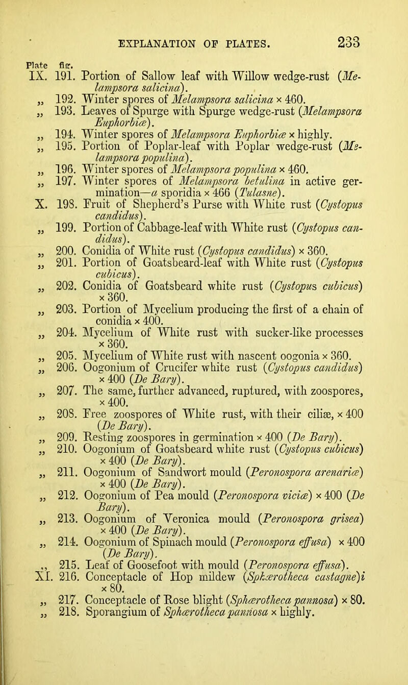 Plate fir. IX. 191. Portion of Sallow leaf with Willow wedge-rust (Me- lampsora salicina). „ 192. Winter spores of Melampsora salicina x 460. „ 193. Leaves ol Spurge with Spurge wedge-rust (Melampsora Euphorbia). „ 194. Winter spores of Melampsora Euphorbia x highly. „ 195. Portion of Poplar-leaf with Poplar wedge-rust (Me- lampsora populina). „ 196. Winter spores of Melampsora populina x 460. „ 197. Winter spores of Melampsora betulina in active ger- mination— a sporidia x 466 (Tulasne). X. 19S. Pruit of Shepherd’s Purse with White rust (Cystopus Candidas). ,, 199. Portion of Cabbage-leaf with White rust (Cystopus Can- didas). „ 200. Conidia of White rust (Cystopus Candidas) x 360. „ 201. Portion of Goatsbeard-leaf with White rust (Cystopus cubicus). „ 202. Conidia of Goatsbeard white rust (Cystopus, cubicus) x 360. „ 203. Portion of Mycelium producing the first of a chain of conidia x 400. „ 204. Mycelium of White rust with sucker-like processes x 360. „ 205. Mycelium of White rust with nascent oogonia x 360. „ 206. Oogonium of Crucifer white rust (Cystopus Candidas) x 400 (Be Bary). „ 207. The same, further advanced, ruptured, with zoospores, x 400. „ 208. Tree zoospores of White rust, with their cilise, x 400 (Be Bary). „ 209. Resting zoospores in germination x 400 (Be Bary). „ 210. Oogonium of Goatsbeard white rust (Cystopus cubicus) x 400 (Be Bary). „ 211. Oogonium of Sandwort mould (Peronospora arenaria) x 400 (Be Bary). „ 212. Oogonium of Pea mould (Peronospora vicia) x 400 (Be Bary). „ 213. Oogonium of Veronica mould (Peronospora grisea) x 400 (Be Bary). „ 214. Oogonium of Spinach mould (Peronospora effusa) x 400 (Be Bary). ,, 215. Leaf of Goosefoot, with mould (Peronospora effusa). XI. 216. Conceptacle of Hop mildew (Spkcerotheca castagne)i x 80. „ 217. Conceptacle of Rose blight (Sphcerotheca pannosa) x 80. „ 218. Sporangium of Sphcerotheca pannosa x highly.